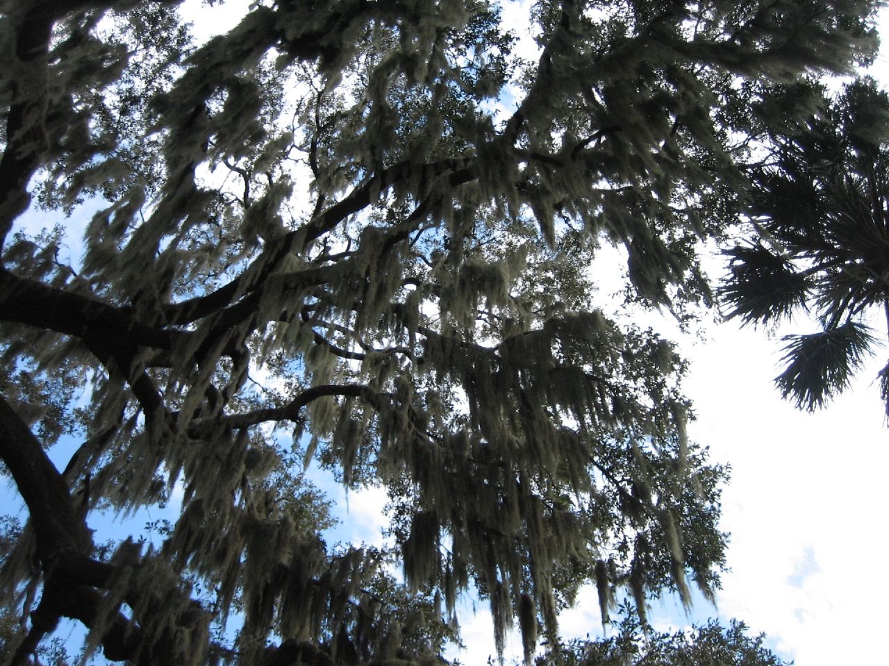 Hontoon Island State Park
