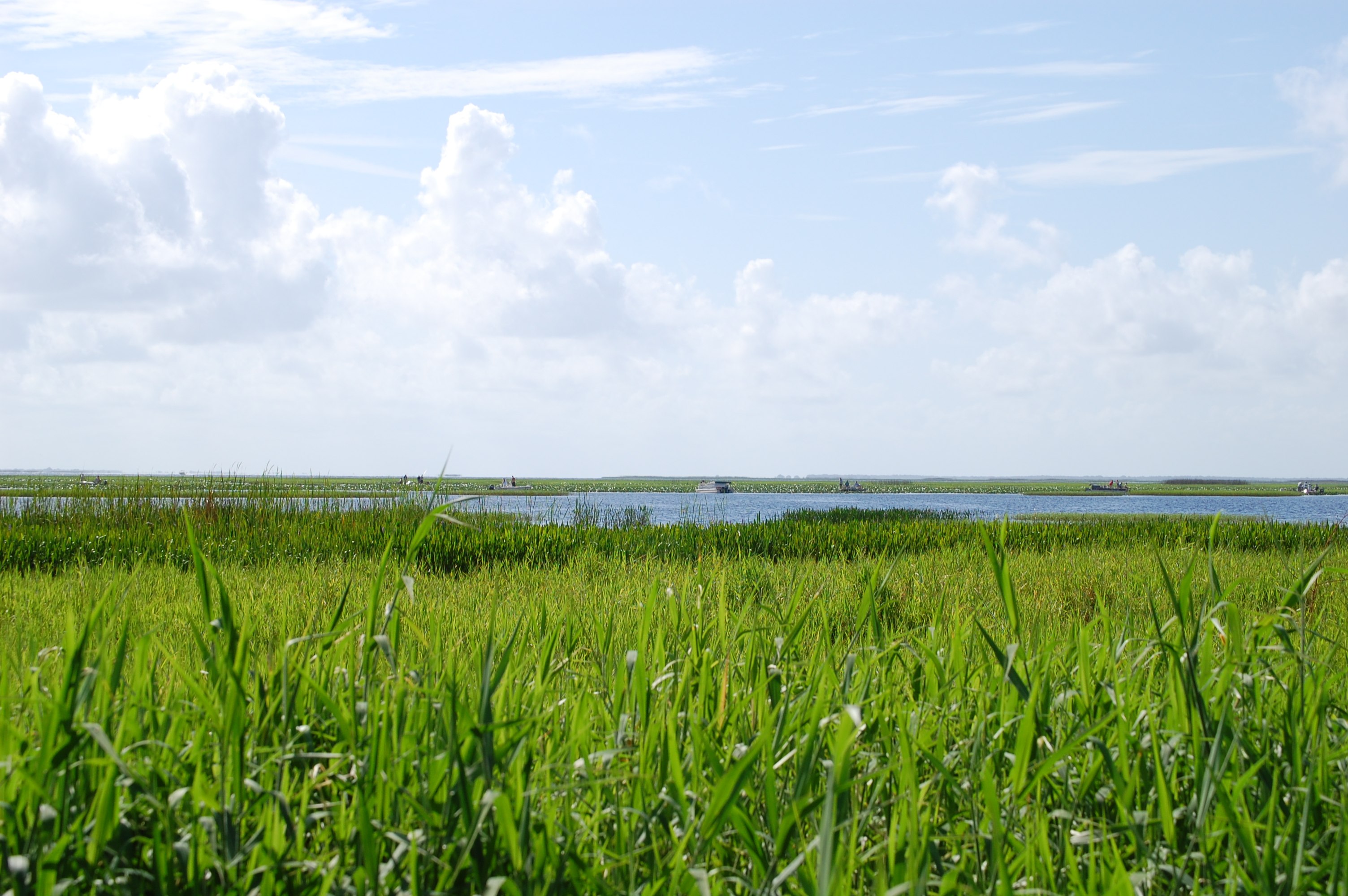 Lake Kissimmee State Park