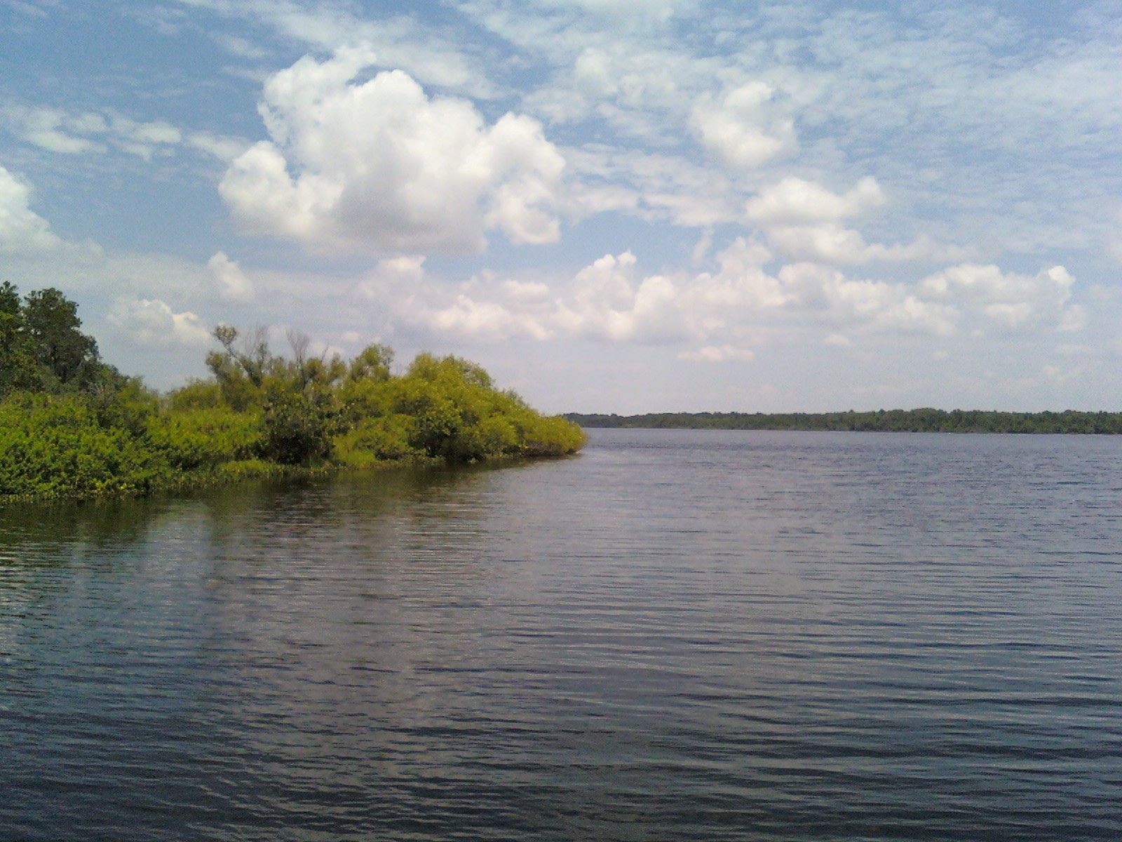 Lake Manatee State Park