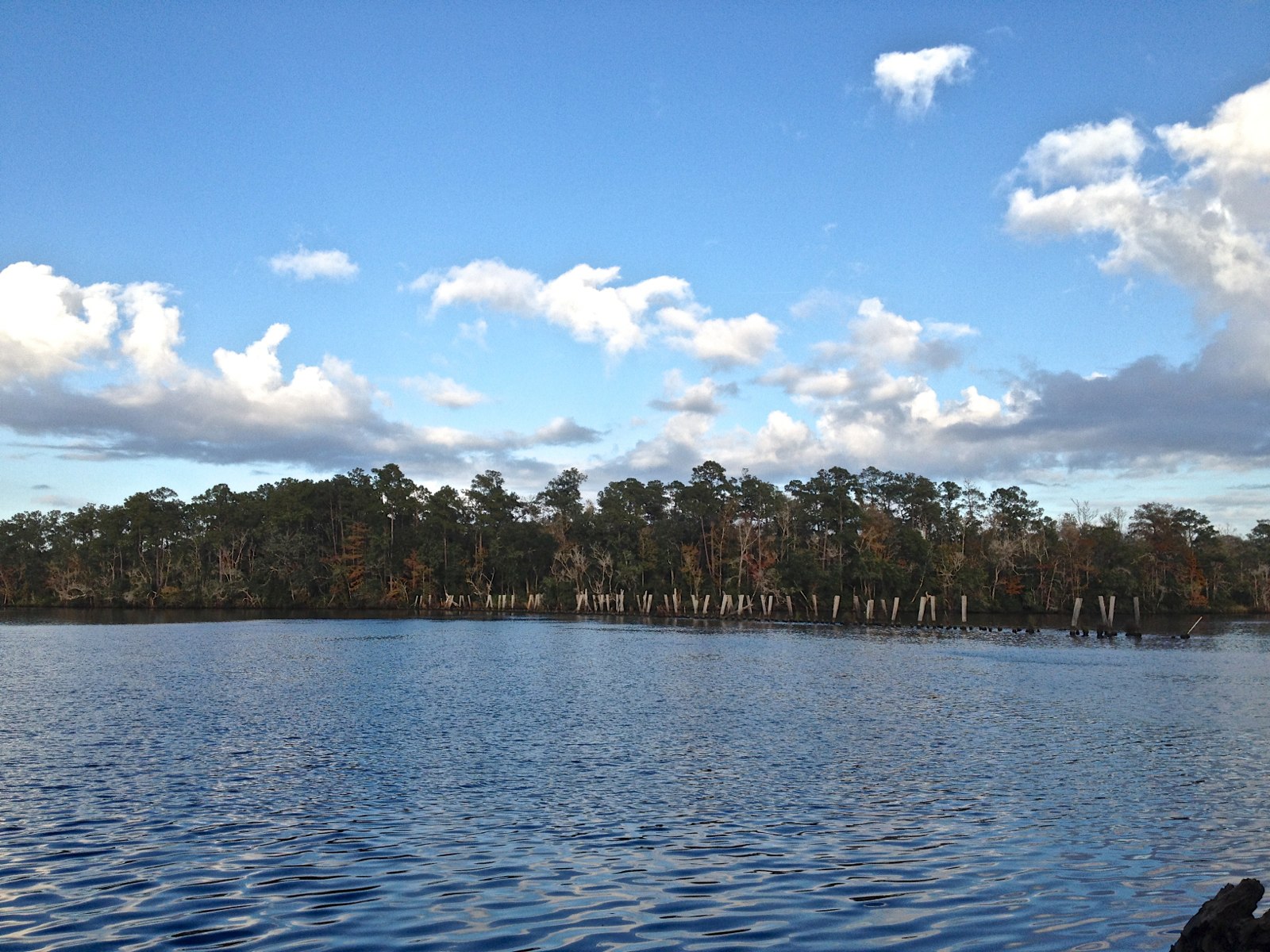 Ochlockonee River State Park