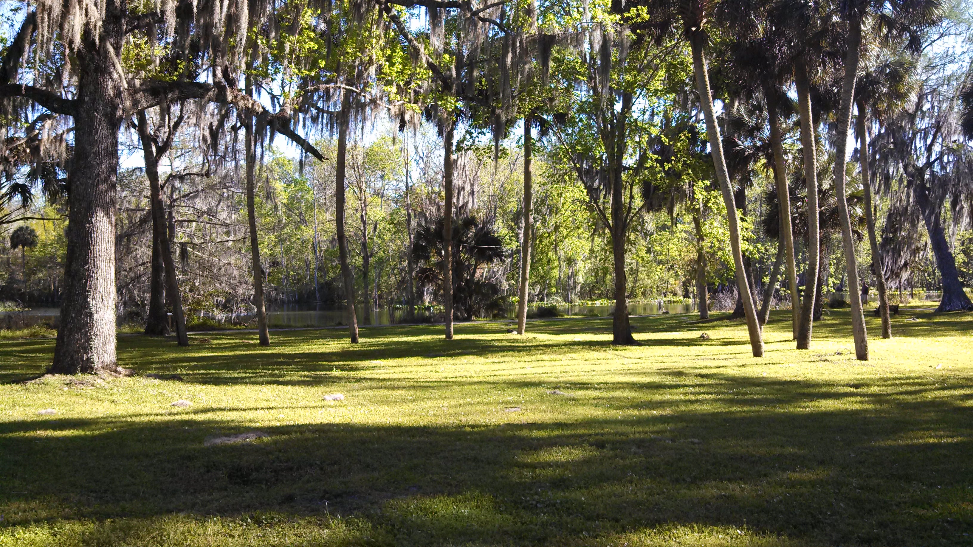 Silver Springs Campground
