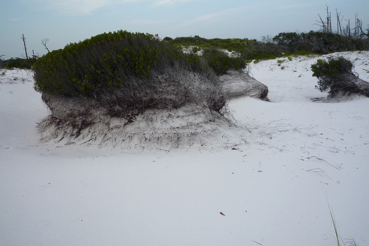 Topsail Hill Preserve State Park
