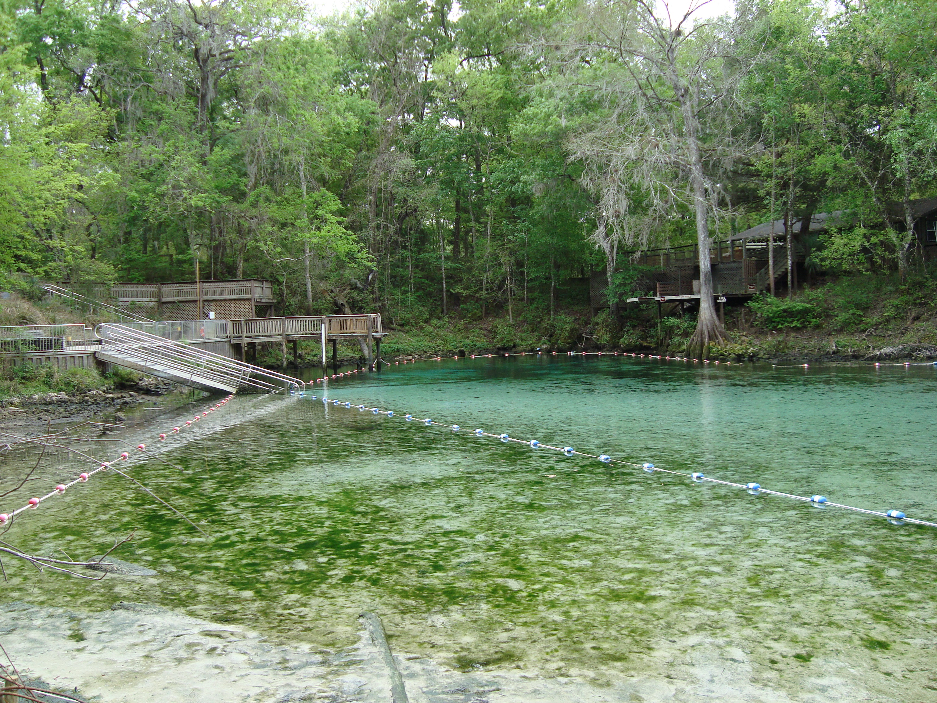 Fanning Springs State Park