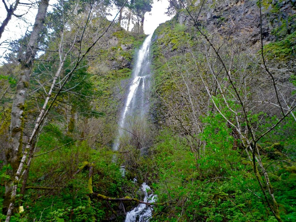 Ainsworth State Park