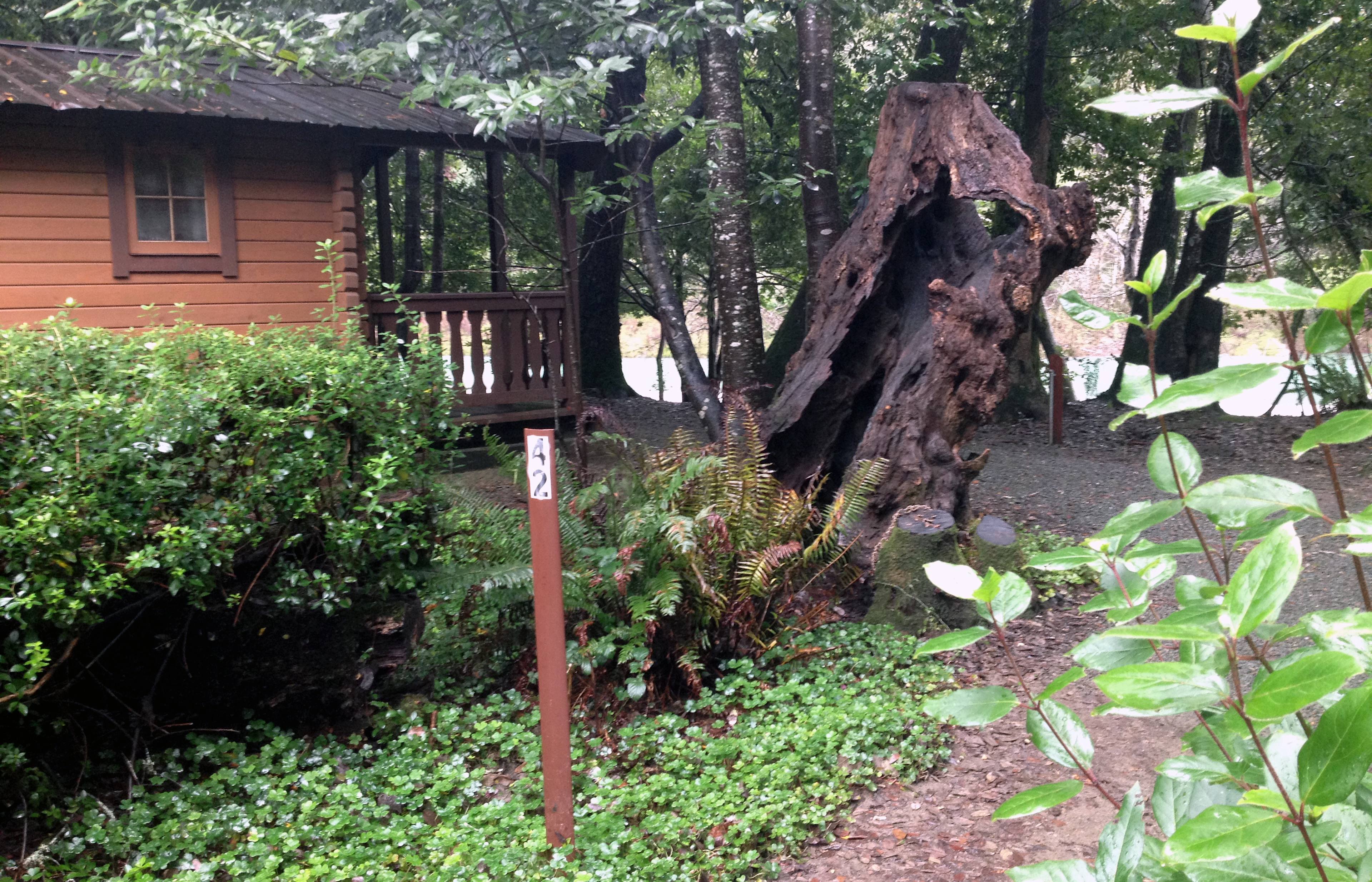 Alfred A. Loeb Campground