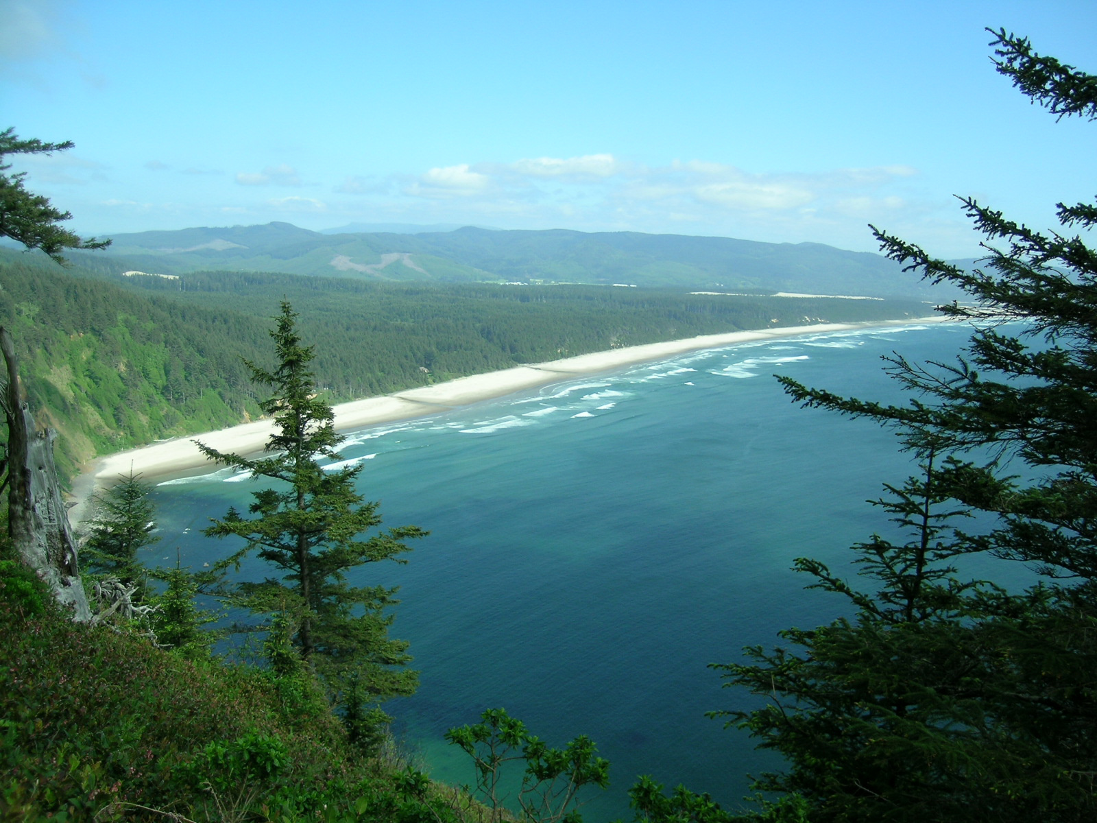 Cape Lookout Campground