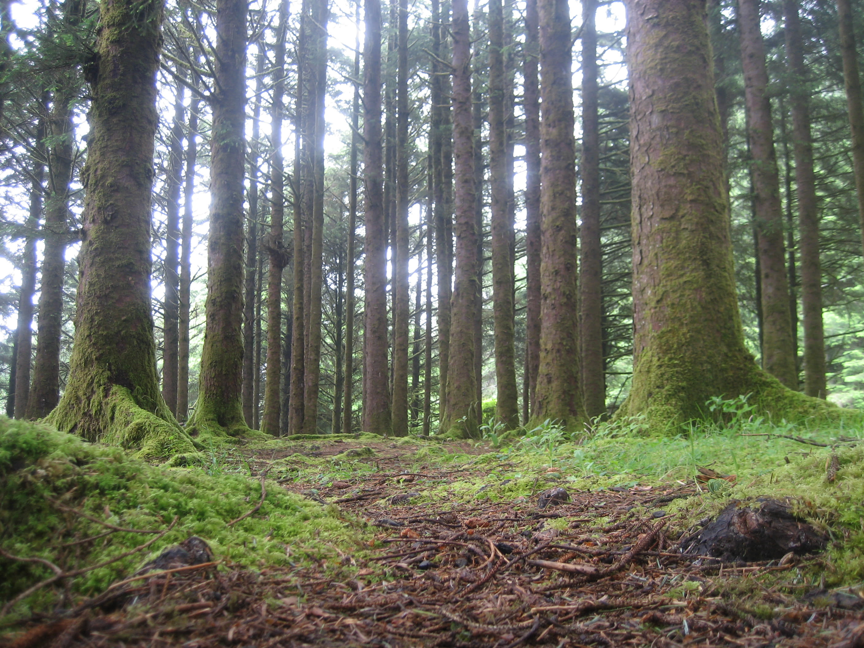 Carl G. Washburne Memorial State Park
