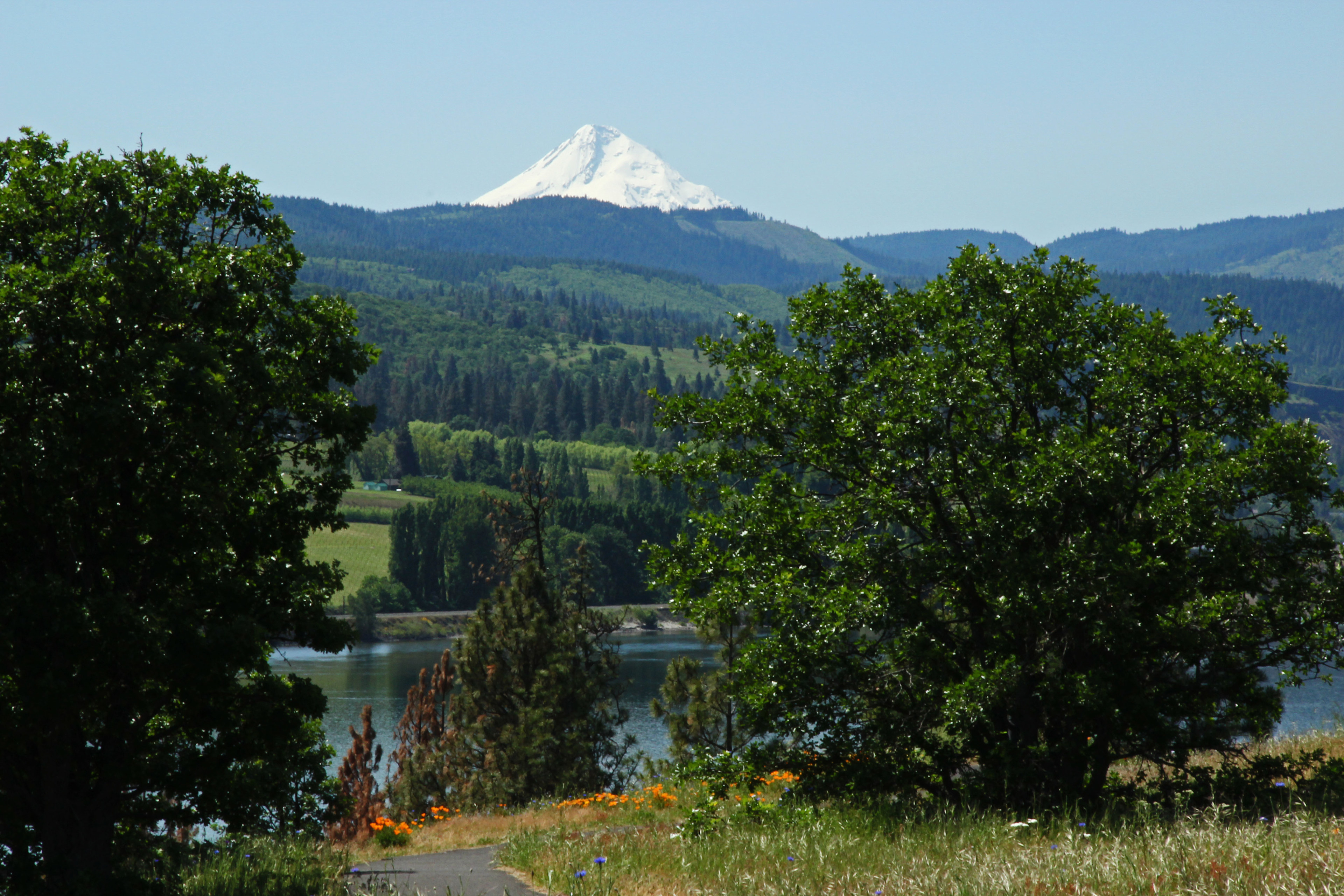 Catherine Creek State Park