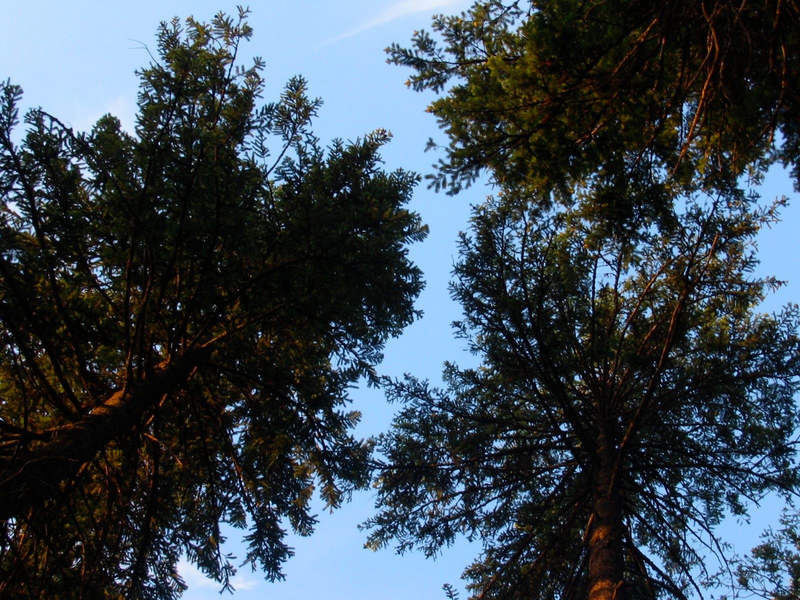 Emigrant Springs State Heritage Area