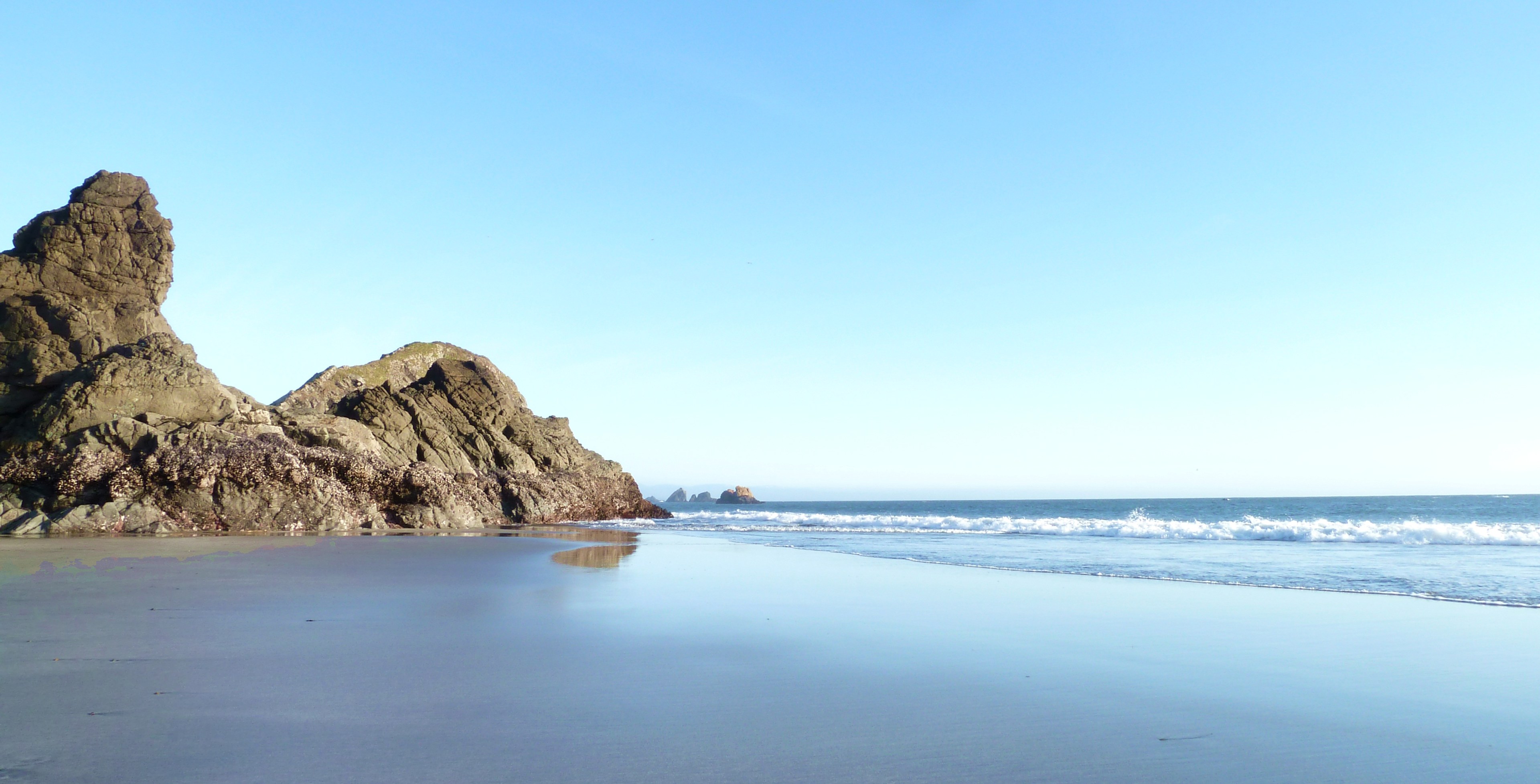 Harris Beach State Park
