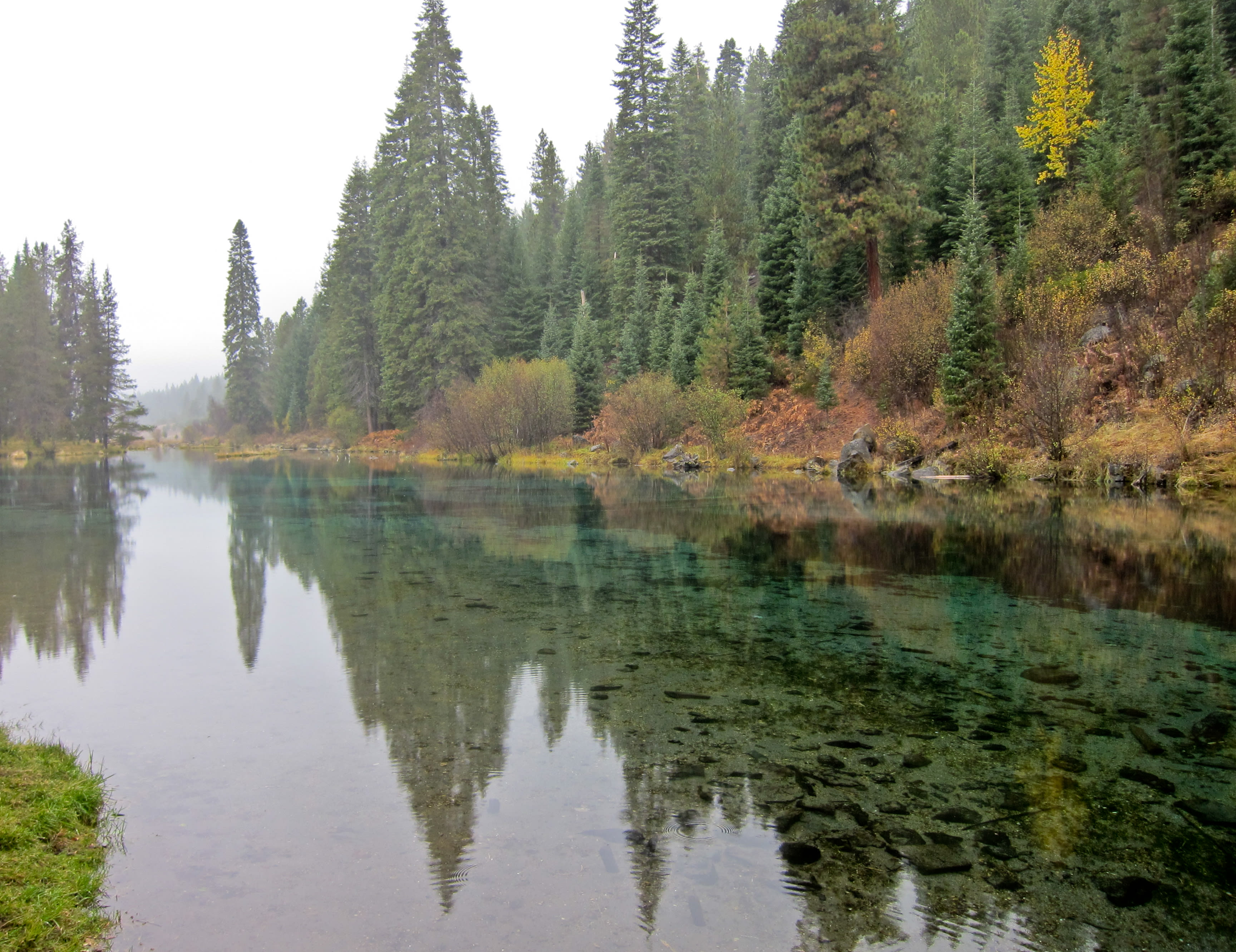 Jackson F. Kimball Campground