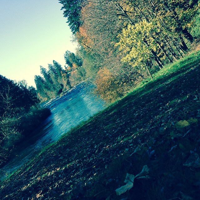 North Santiam State Recreation Area