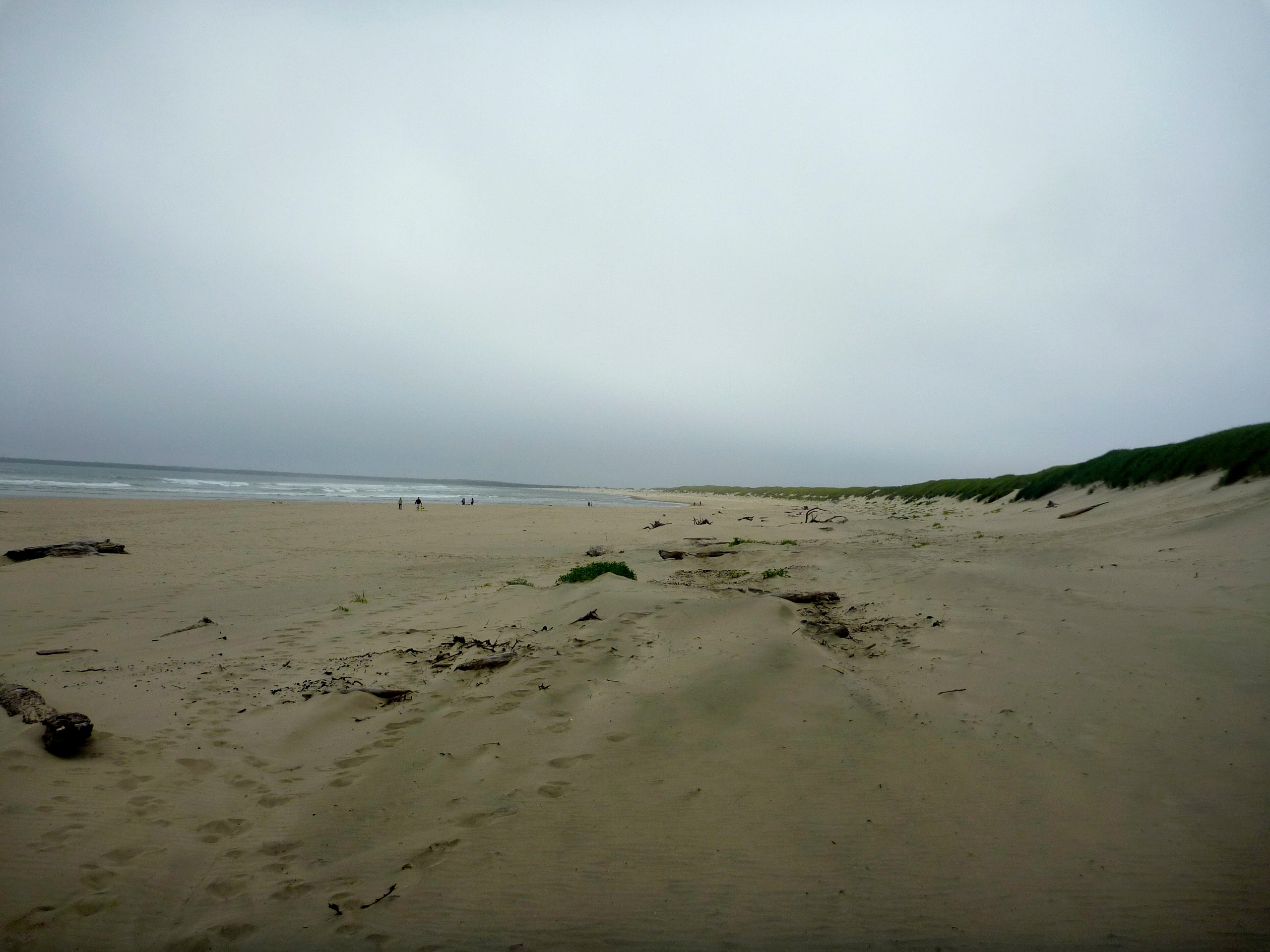 South Beach State Park