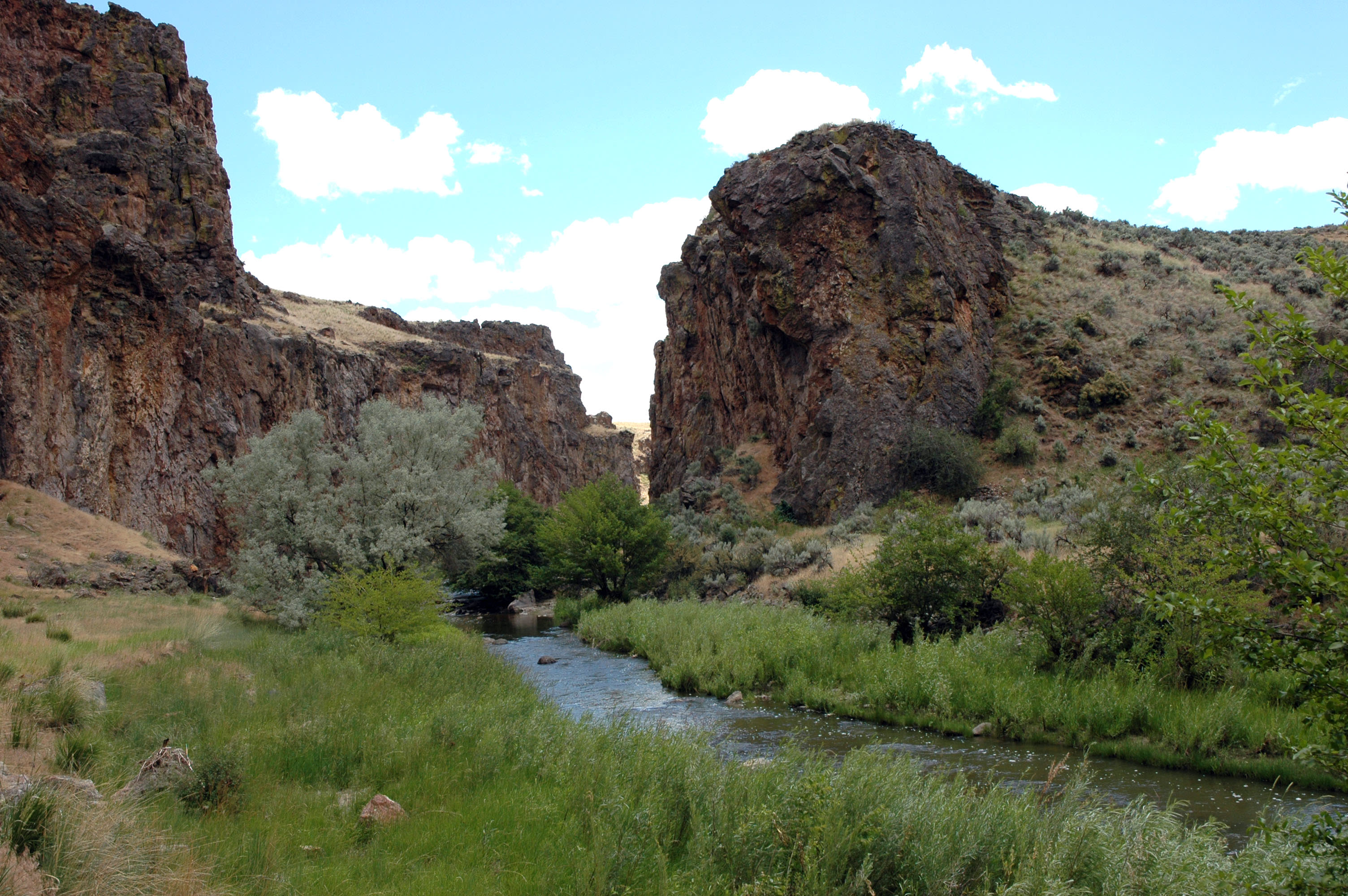 Succor Creek Campground