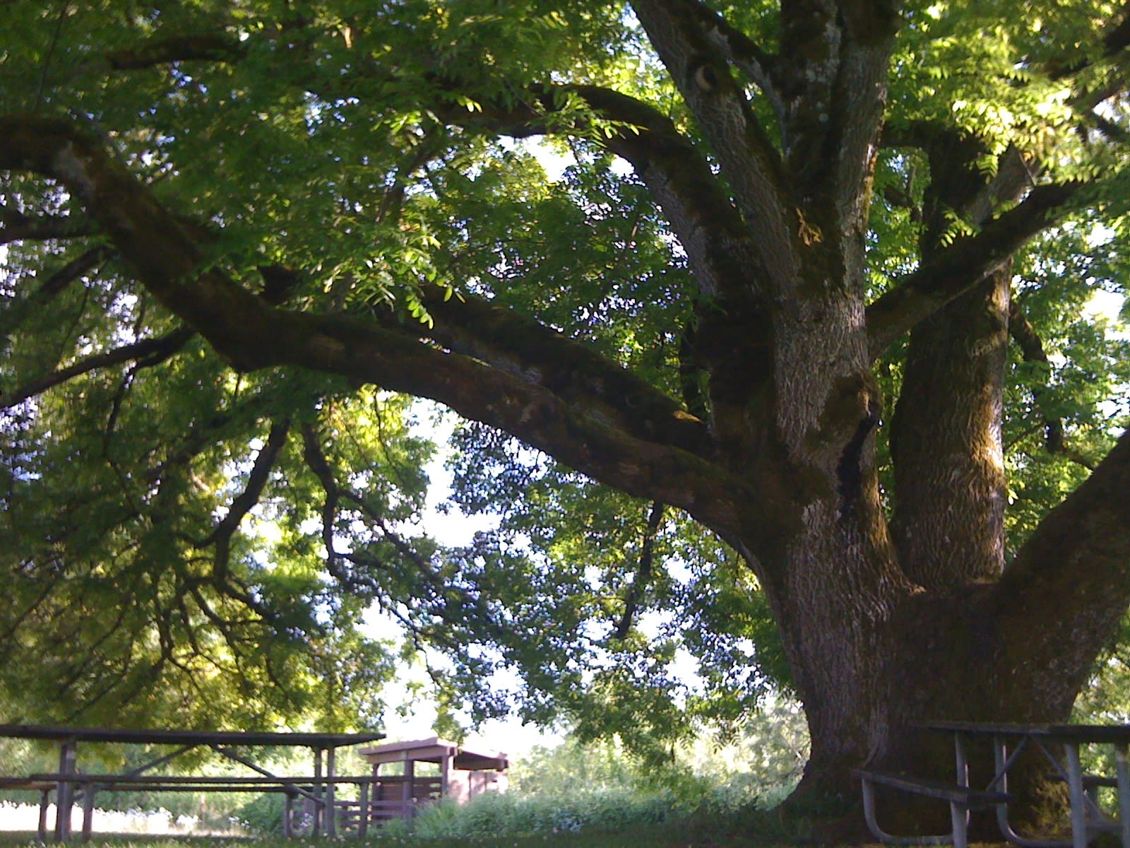 Willamette Mission State Park