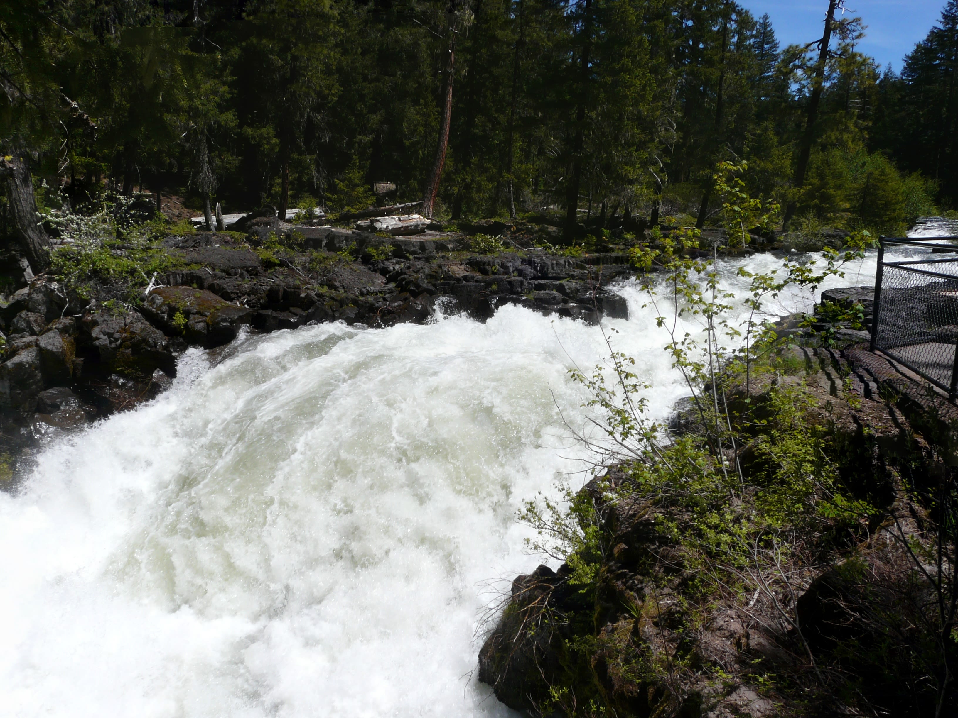 Doe Point Campground