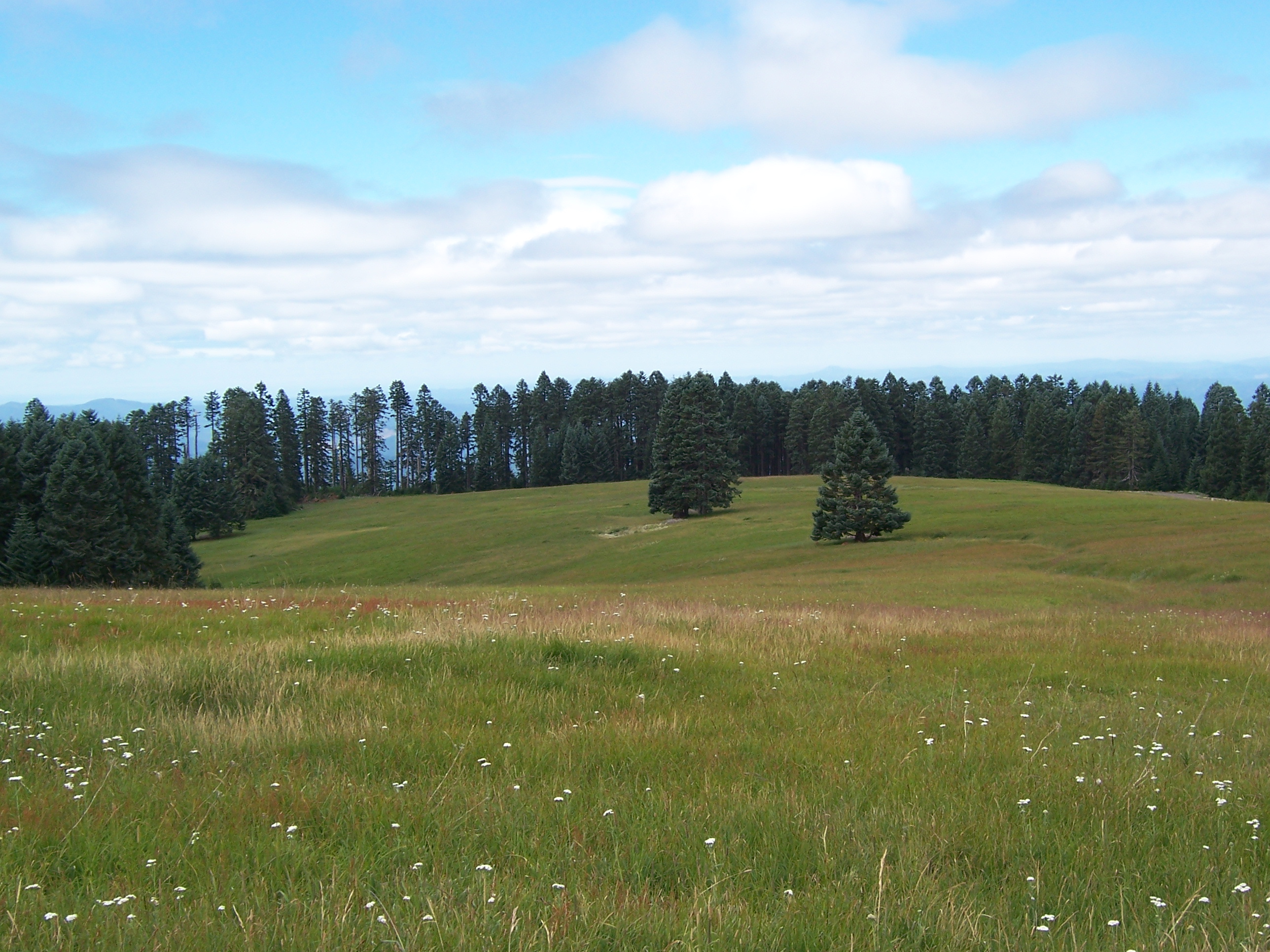 Alder Dune Campground