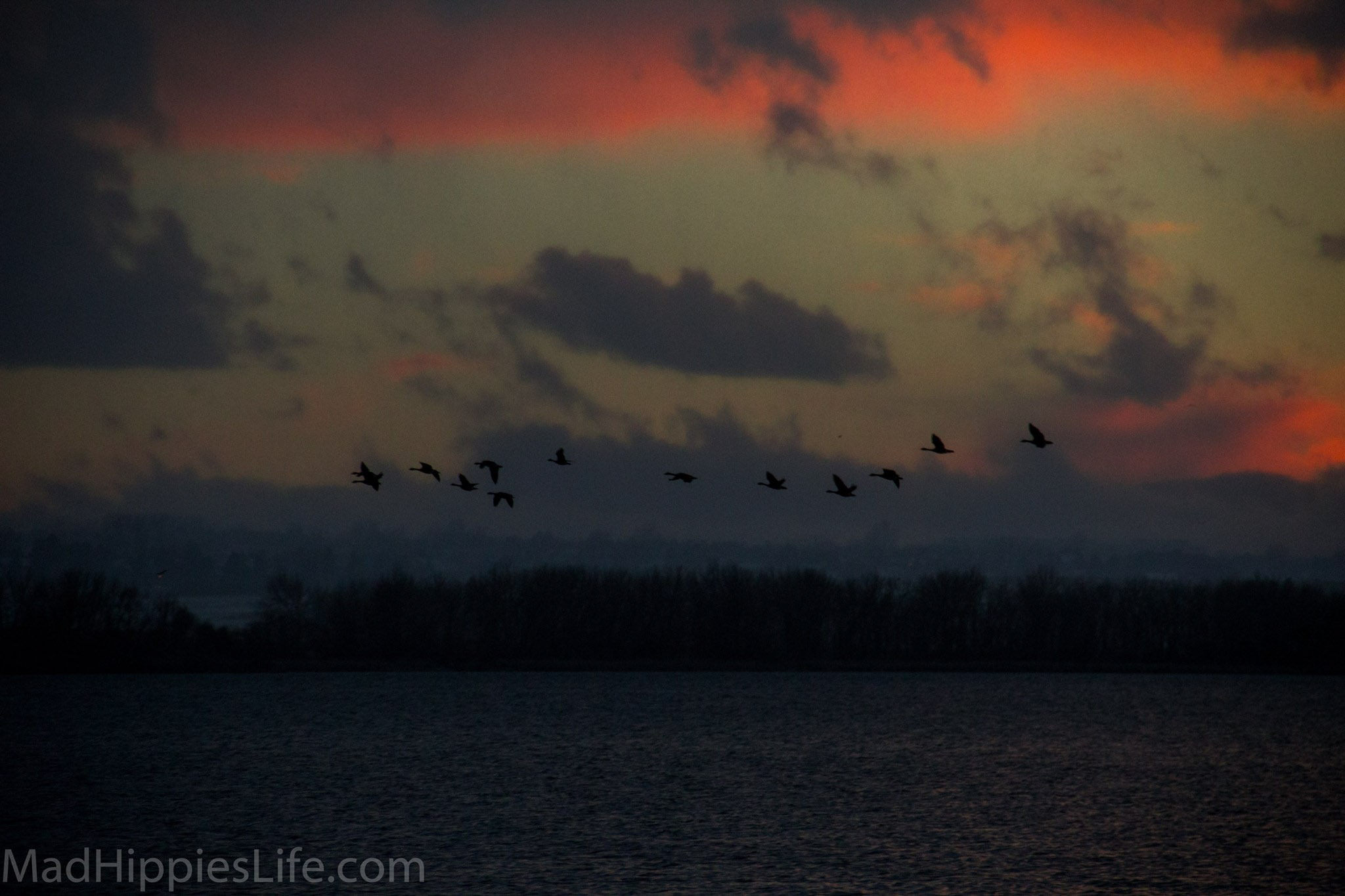 Cherry Creek State Park