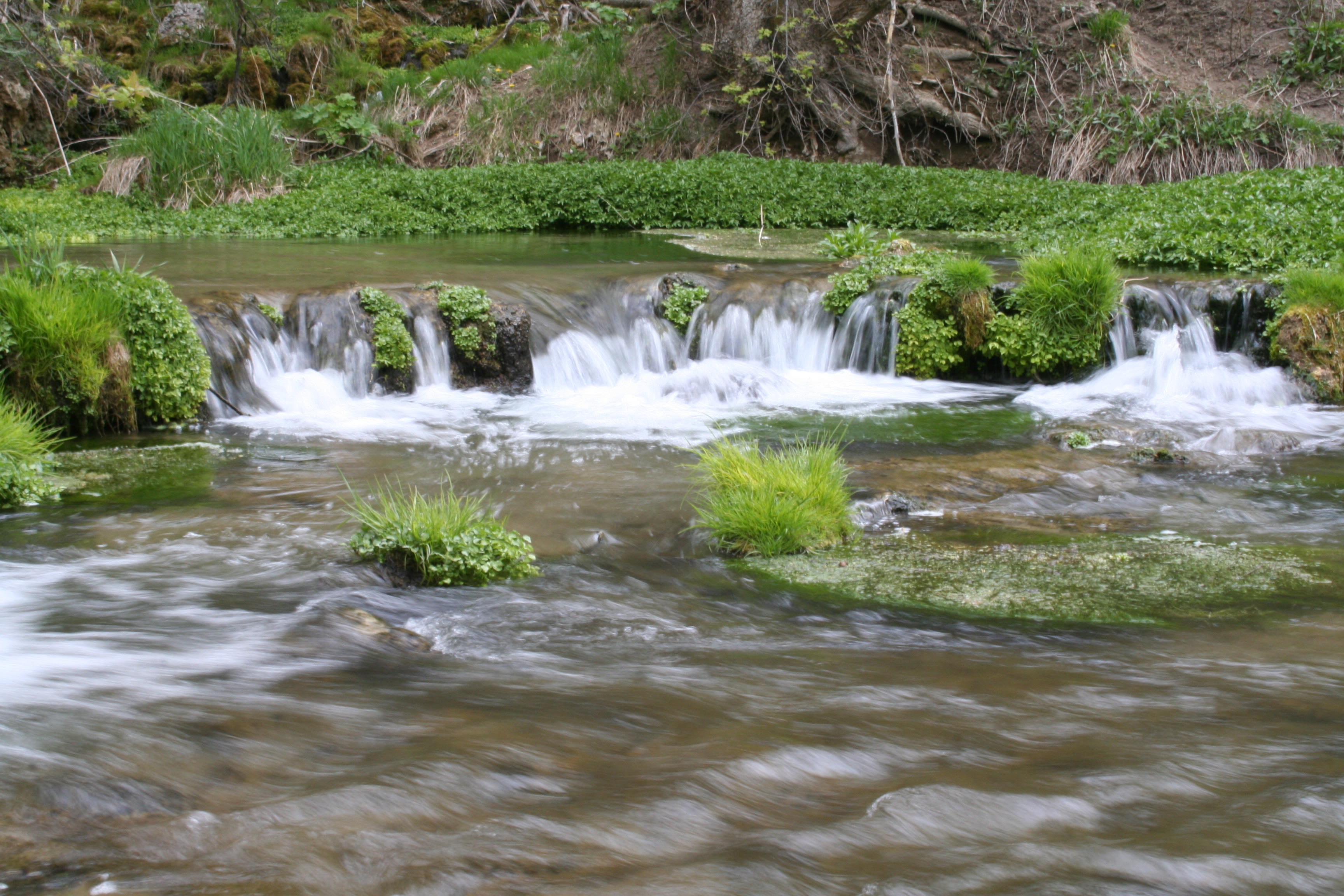 Drive-in RV/Tent Campsites