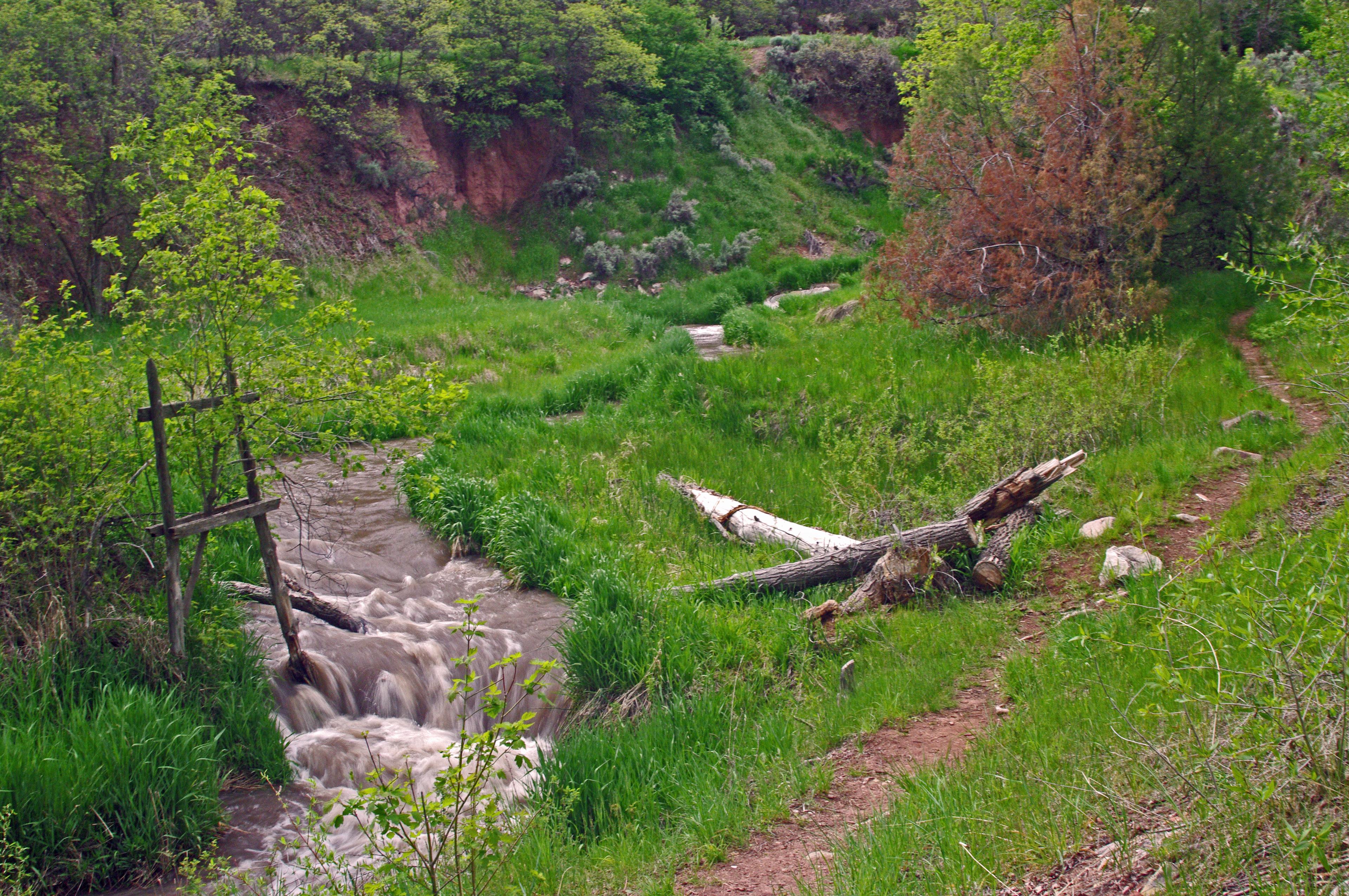Rifle Falls State Park