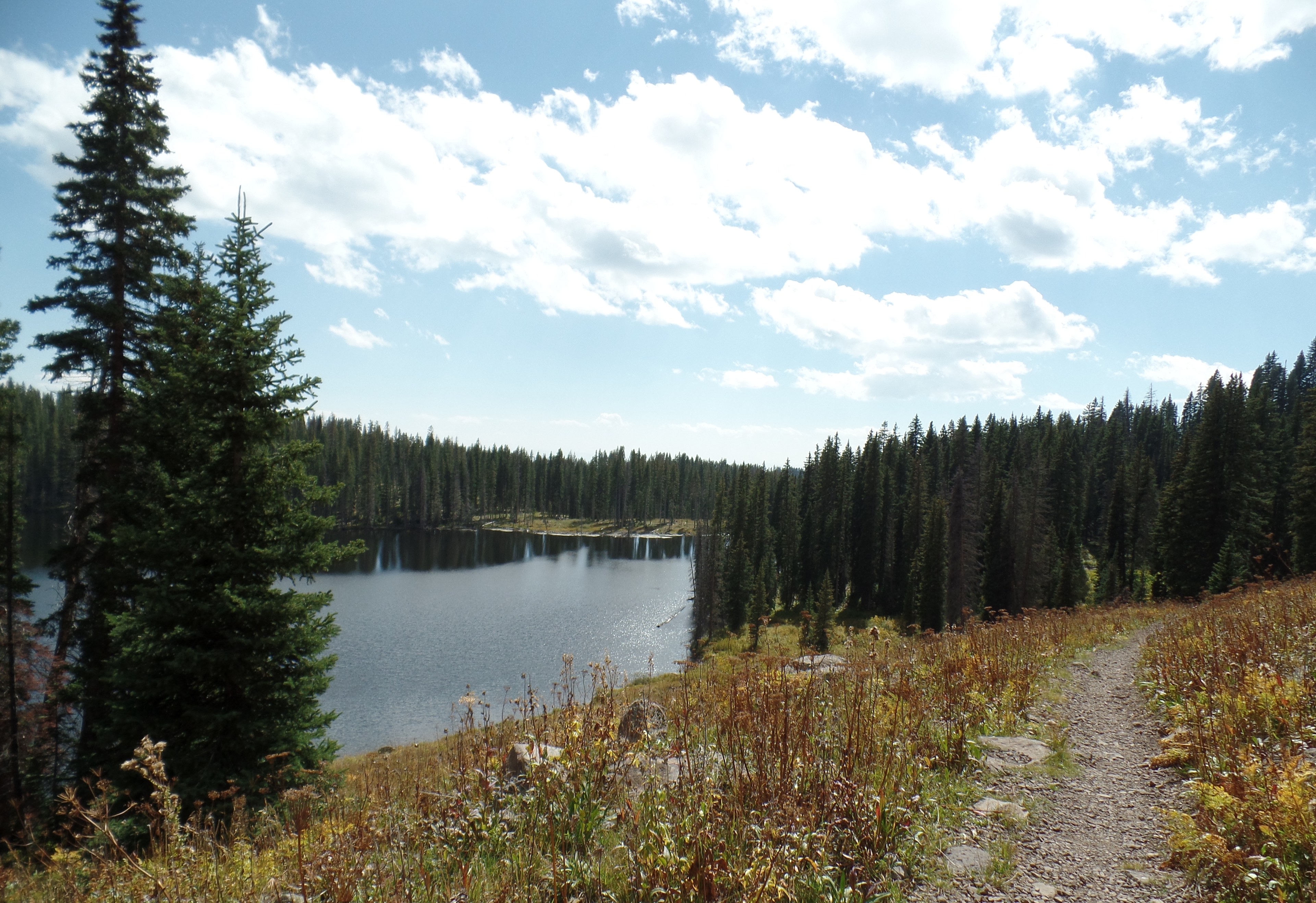 Island Lake Campground