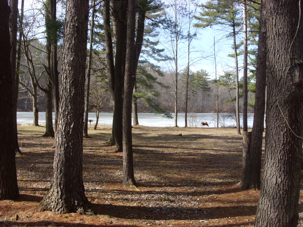 Chenango Valley State Park