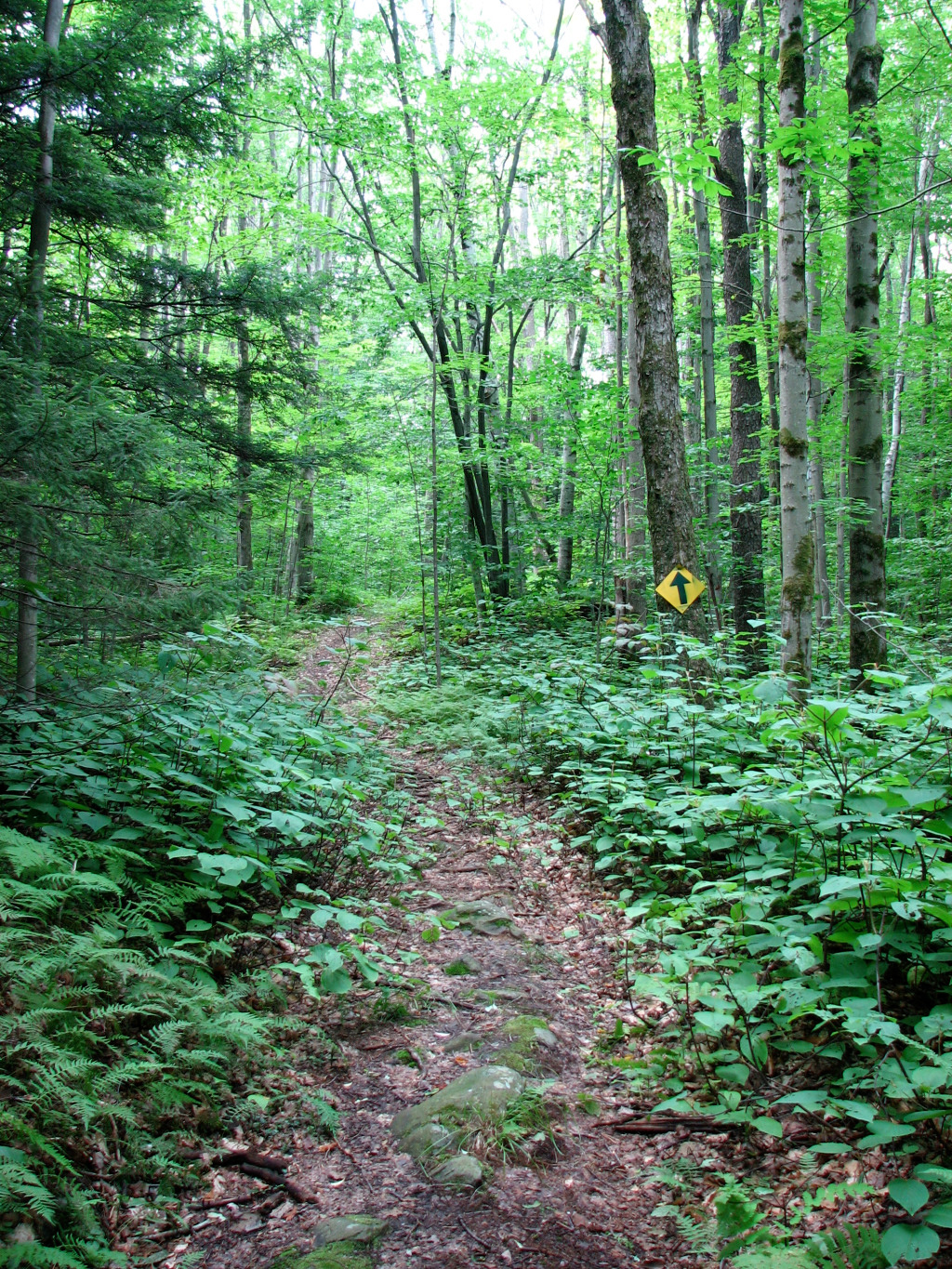 Cherry Plain State Park Campground