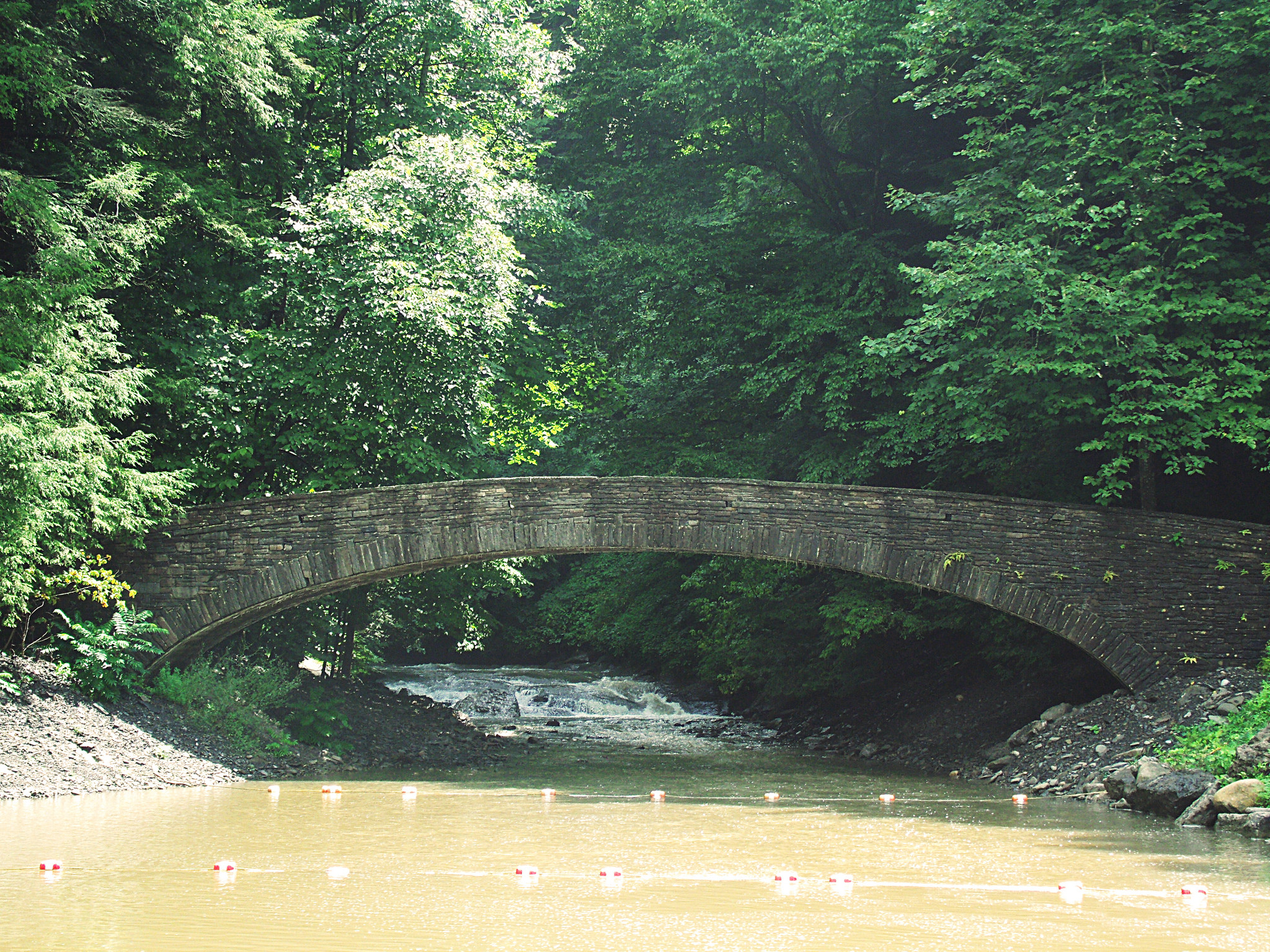 Fillmore Glen State Park
