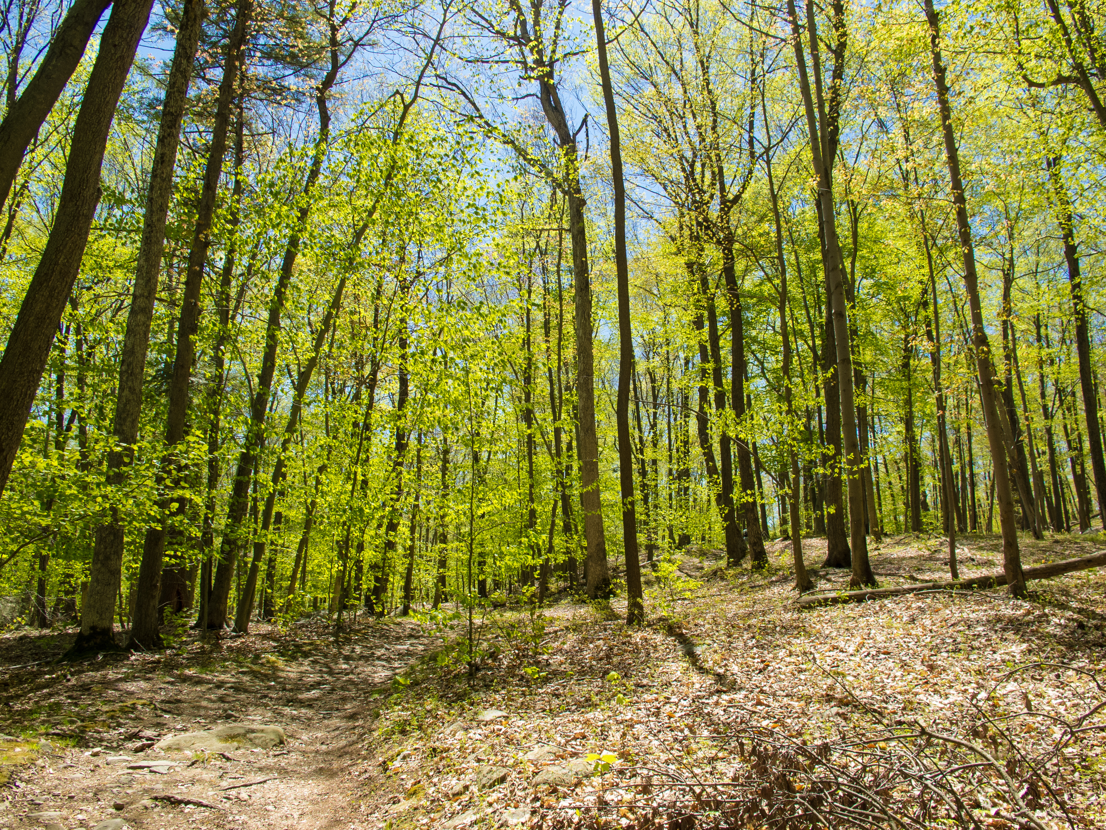 Beaver Pond Campgrounds