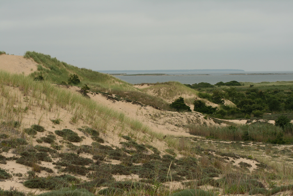 Hither Hills State Park