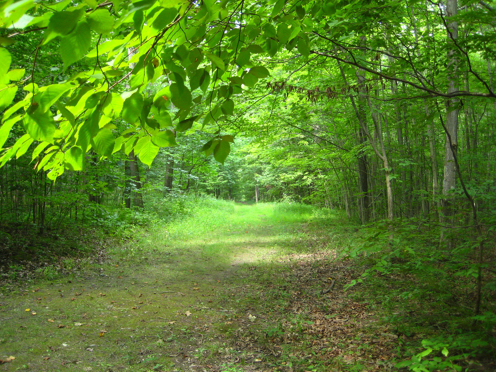 Twin Fawns Campground