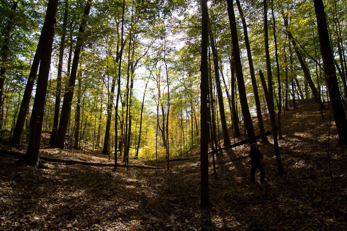 Mills Norrie State Park