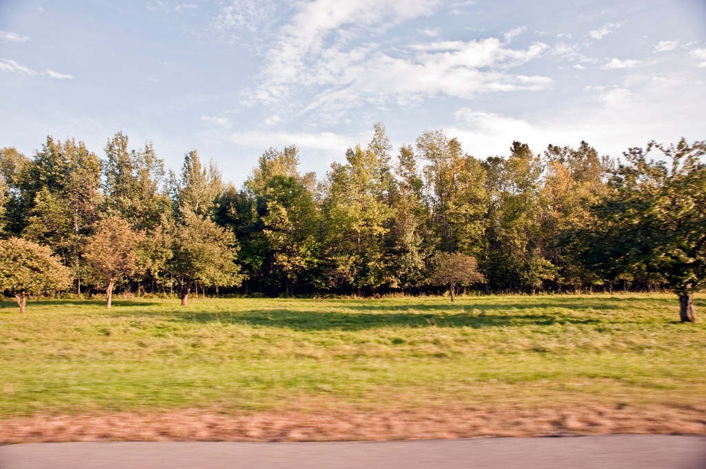 Robert Moses State Park - Thousand Islands