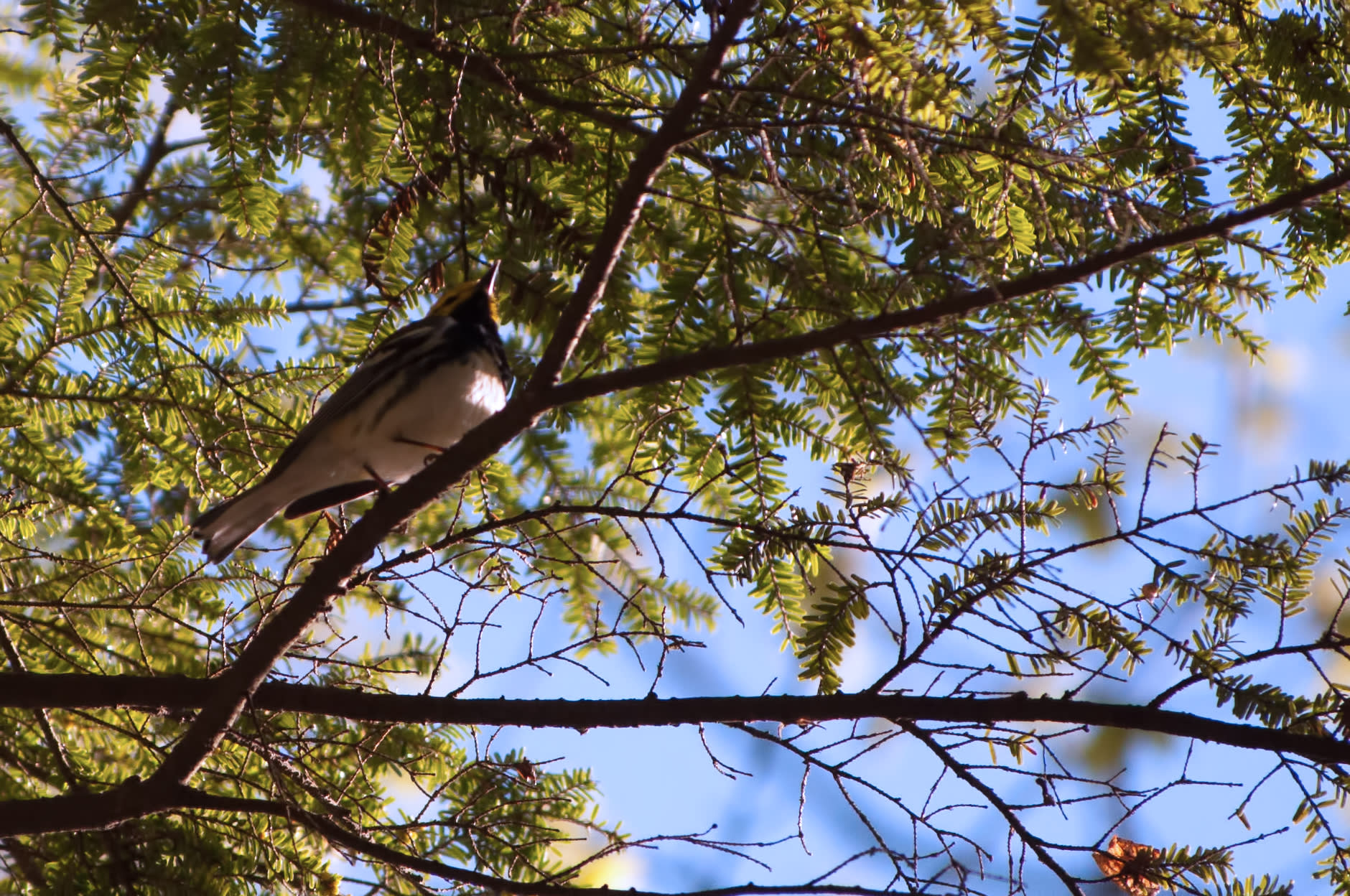 Stony Brook State Park Campground