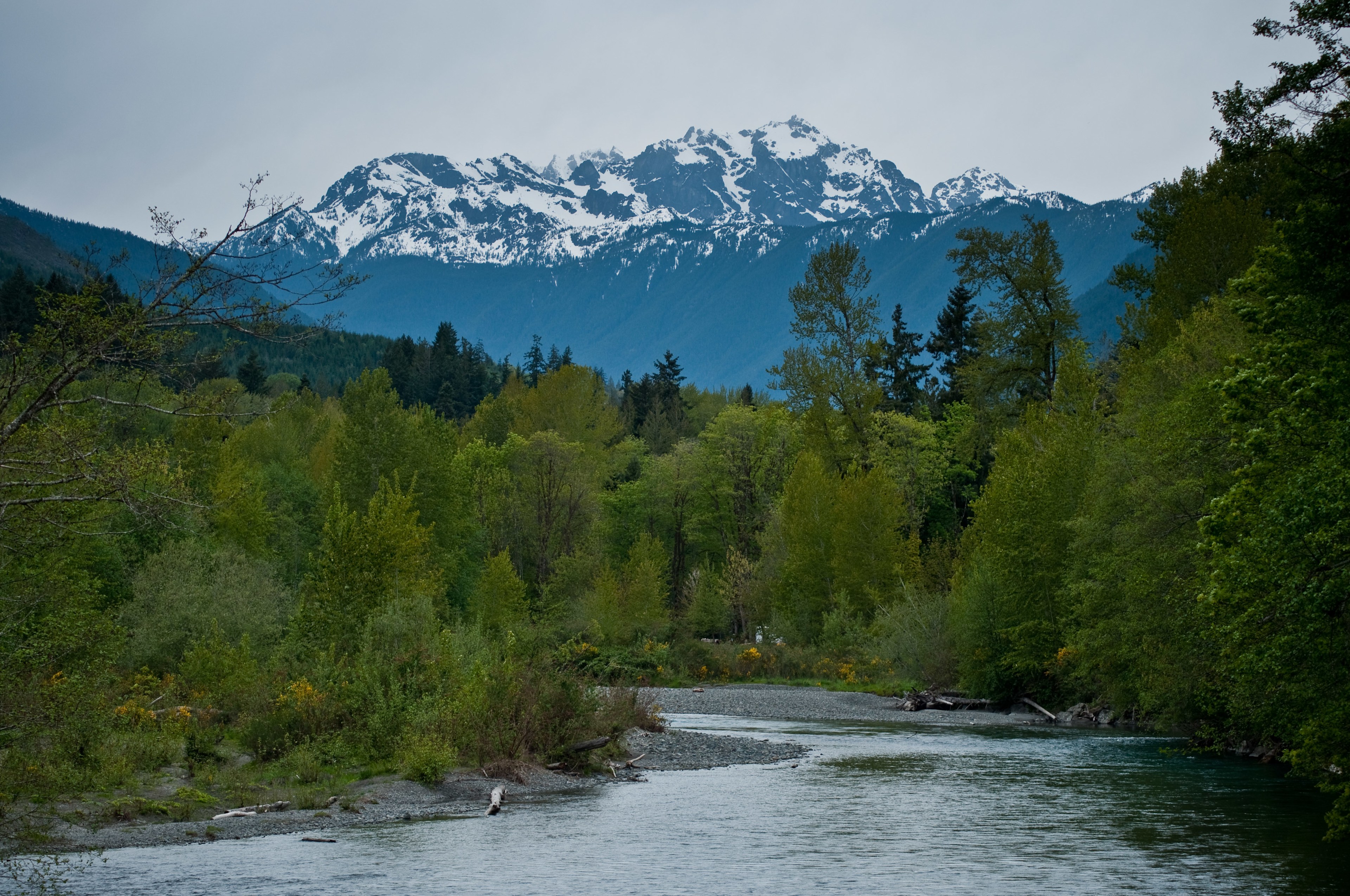 Dosewallips Campground