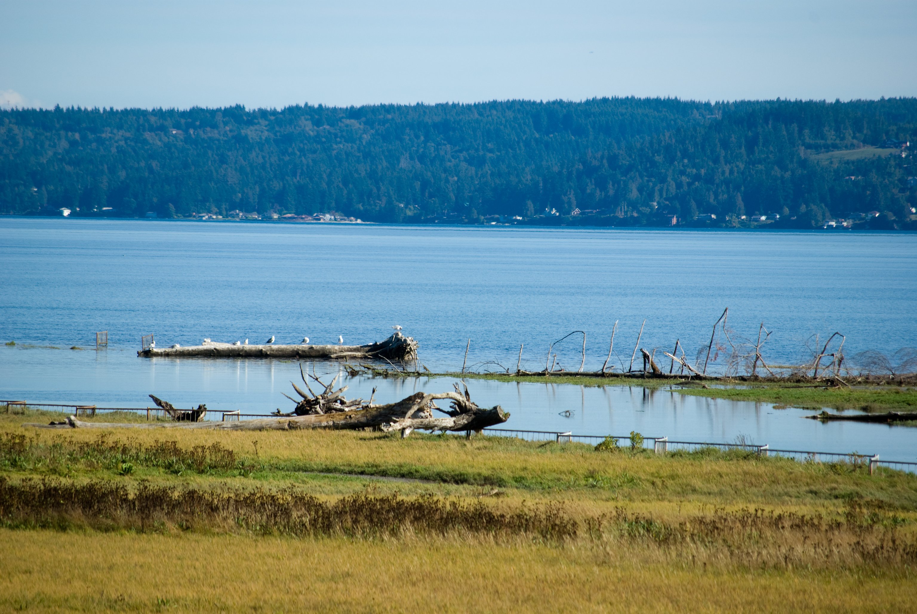 Dosewallips State Park
