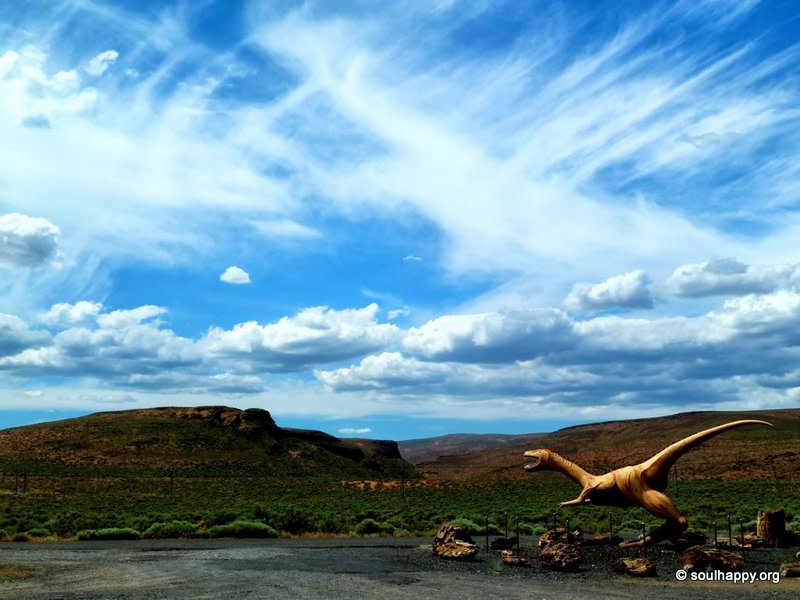 Ginkgo Petrified Forest State Park