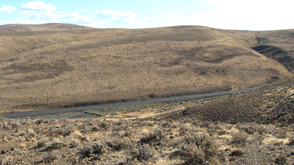 Ginkgo Petrified Forest State Park