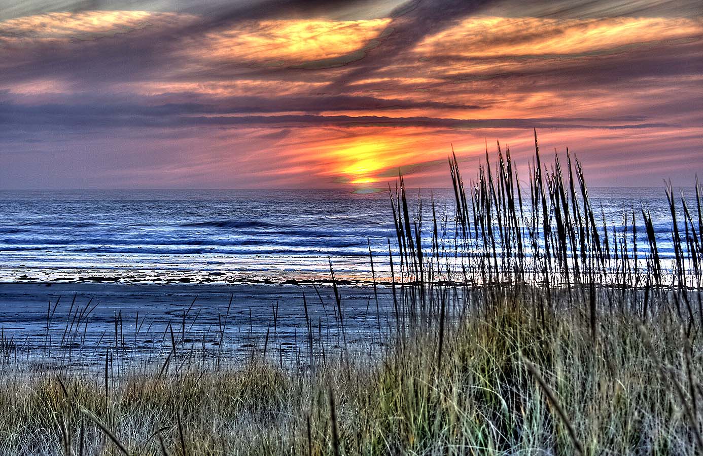 Grayland Beach State Park