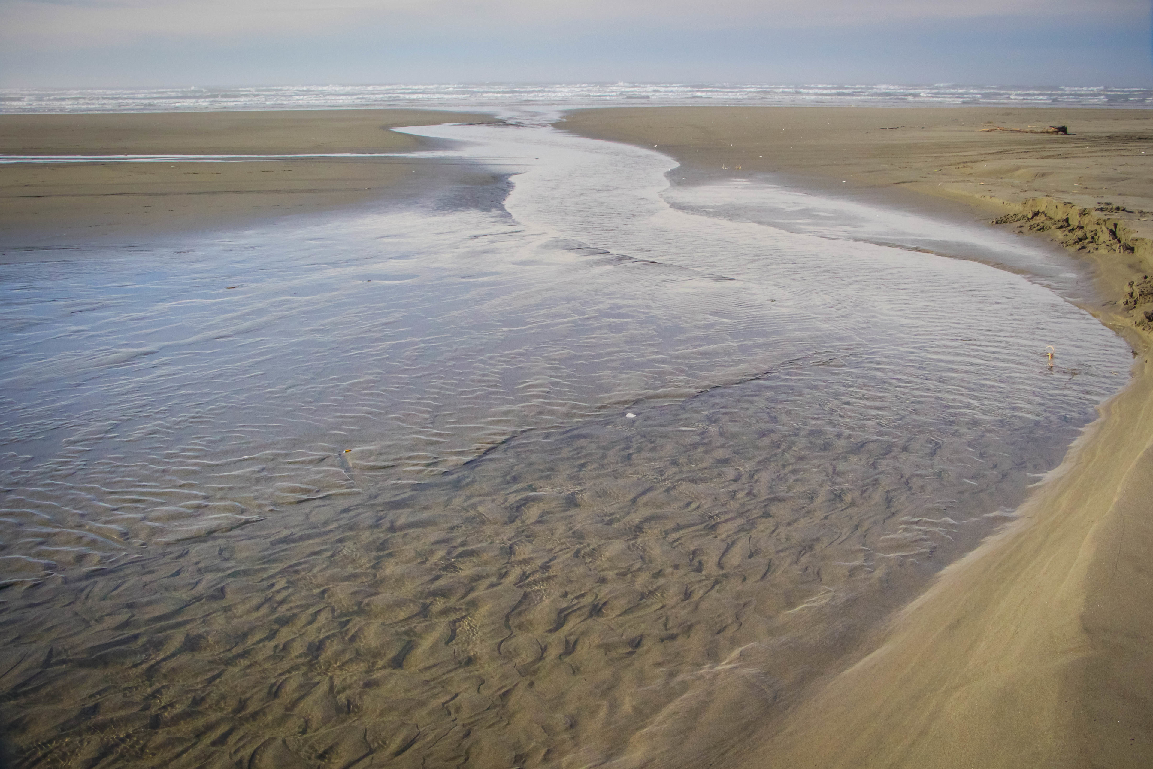 Grayland Beach State Park