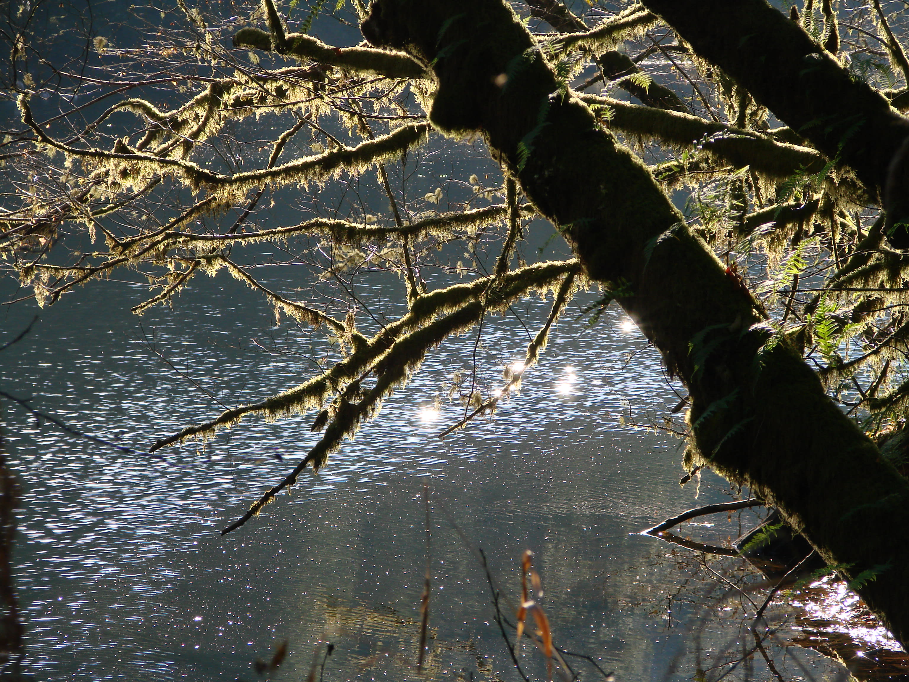 Lake Sylvia Campground