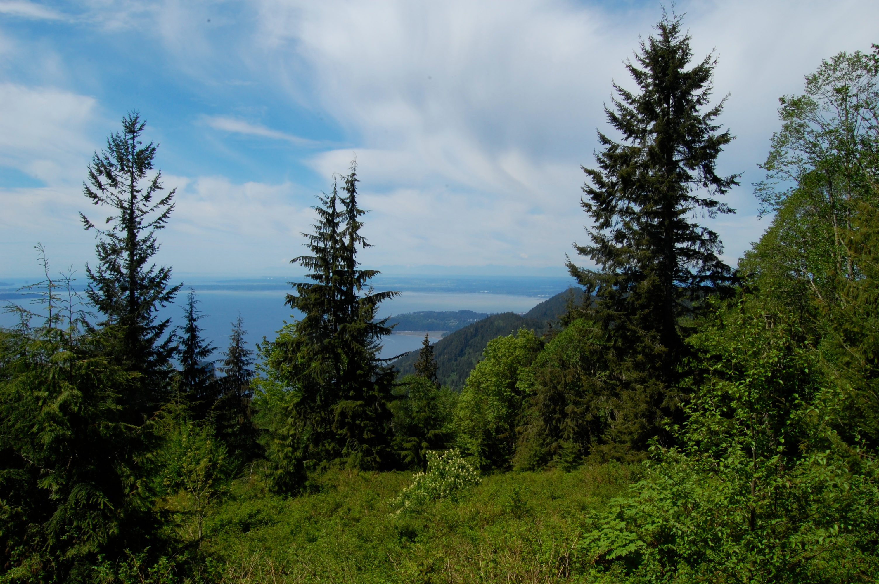Larrabee Campground