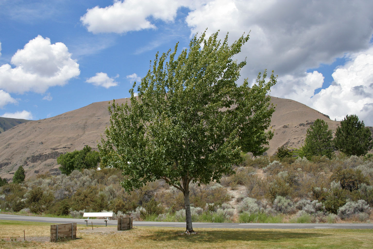 Lincoln Rock State Park