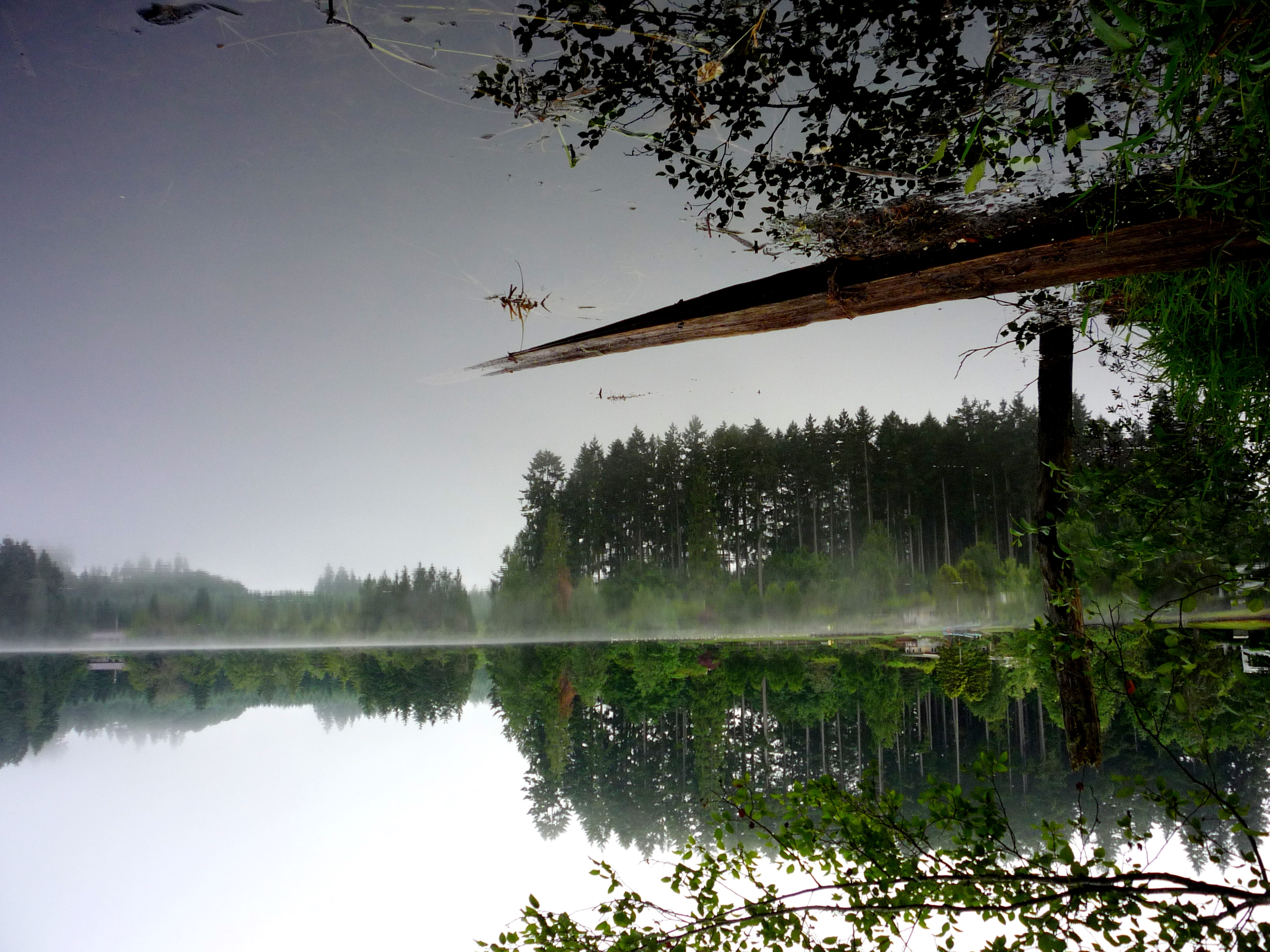 Millersylvania Campground