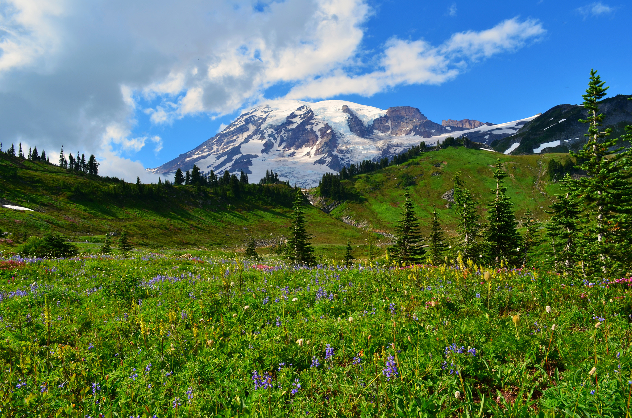 Paradise Point Campground