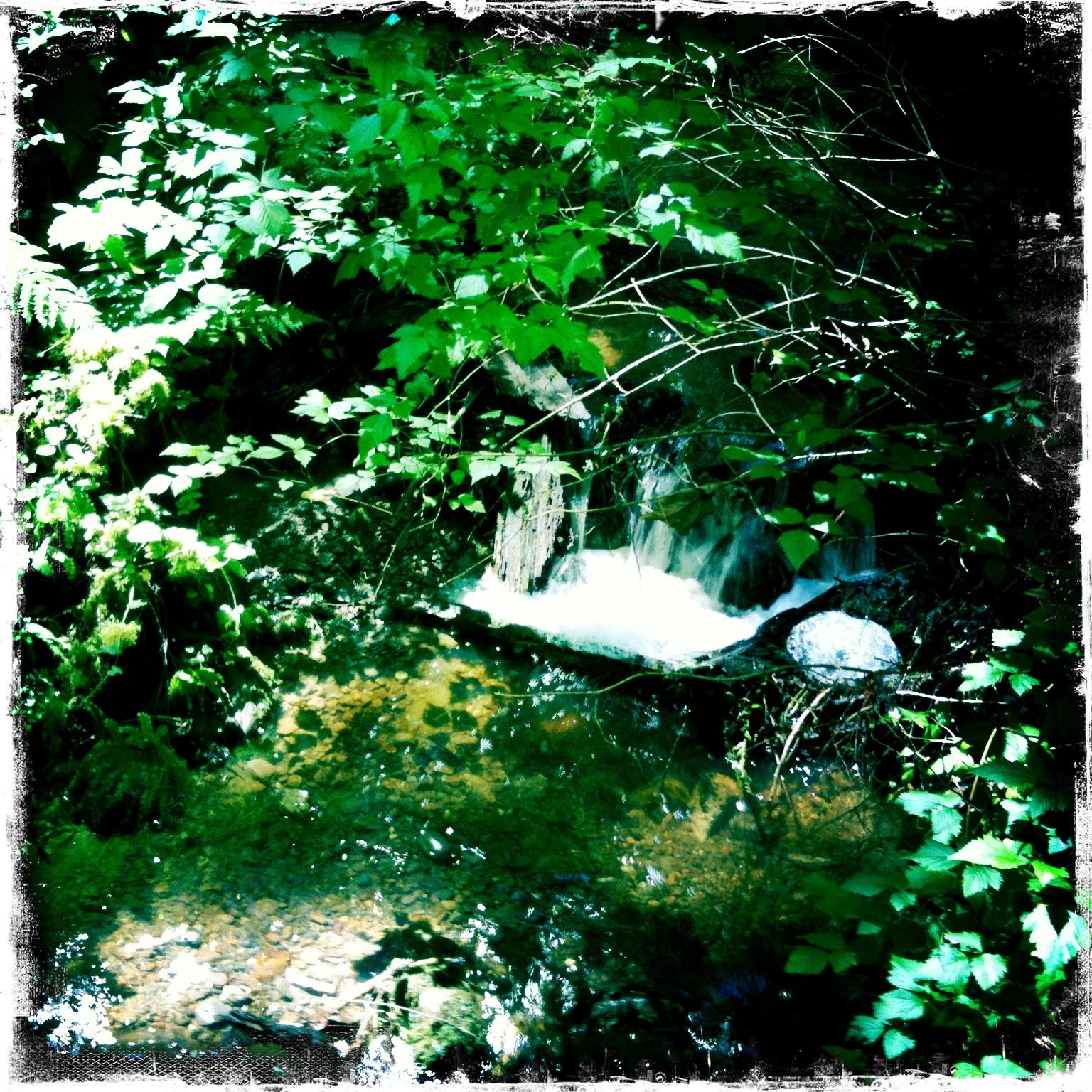 Sequim Bay State Park