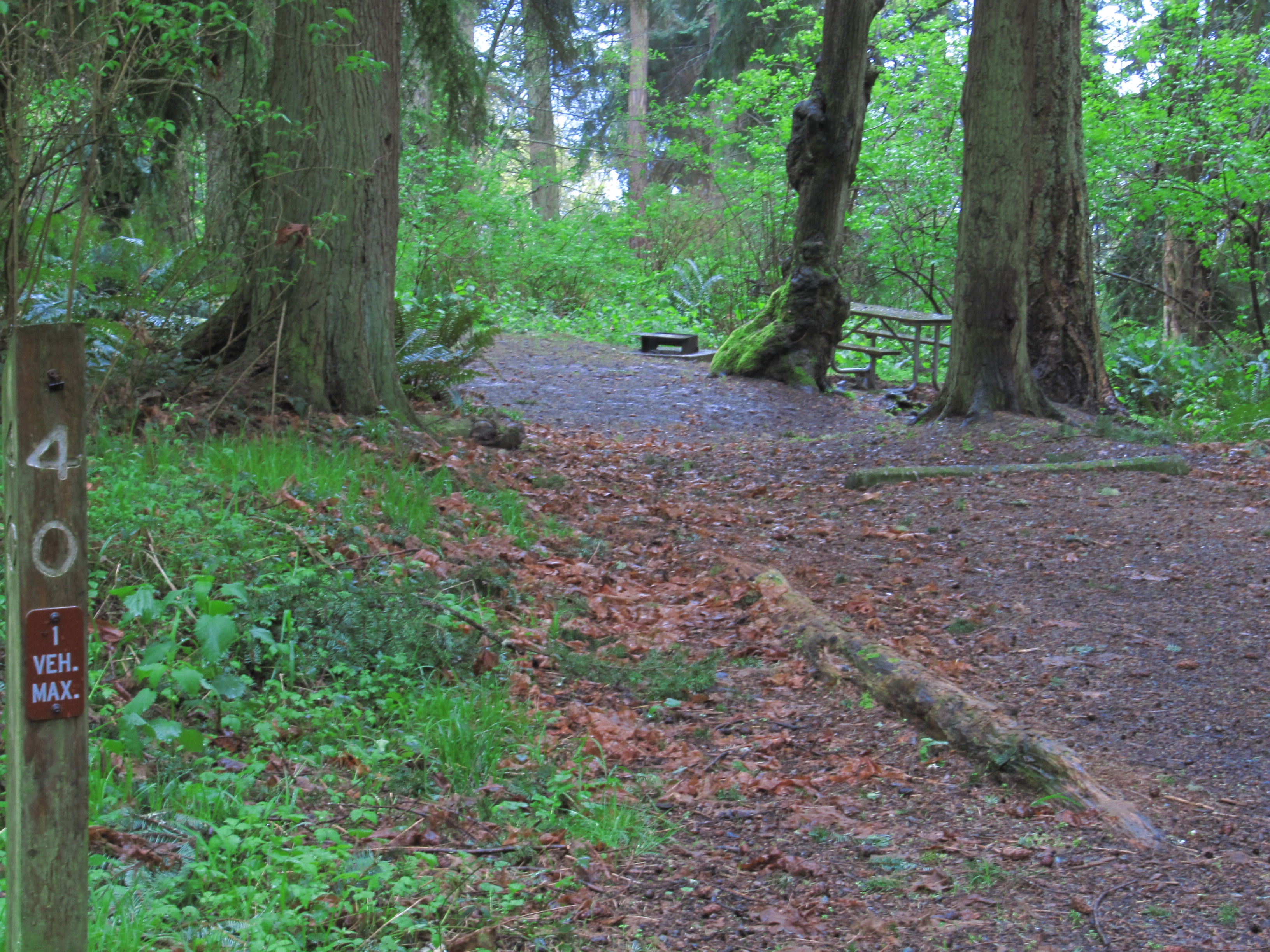South Whidbey Island State Park