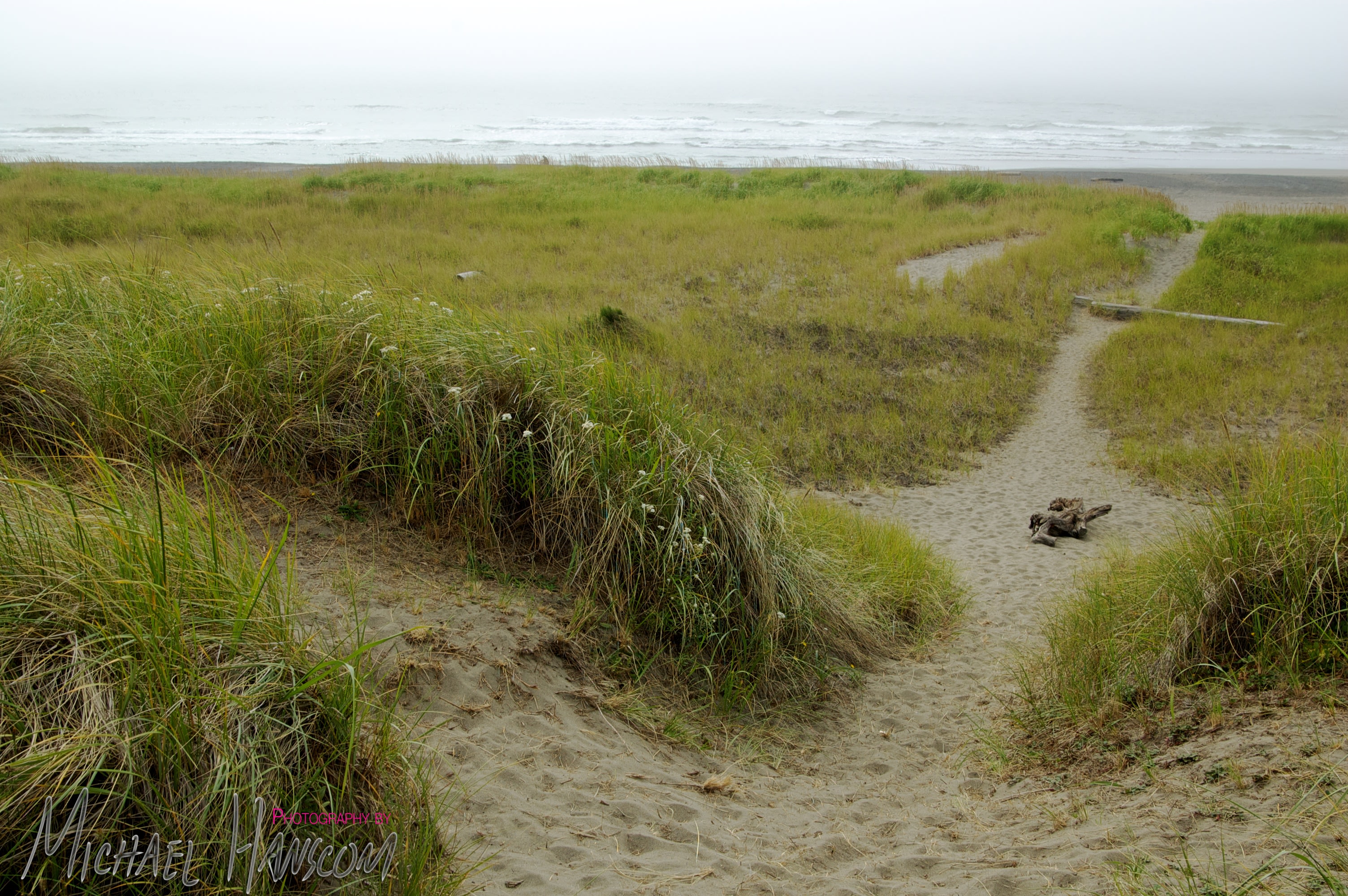 Twin Harbors State Park