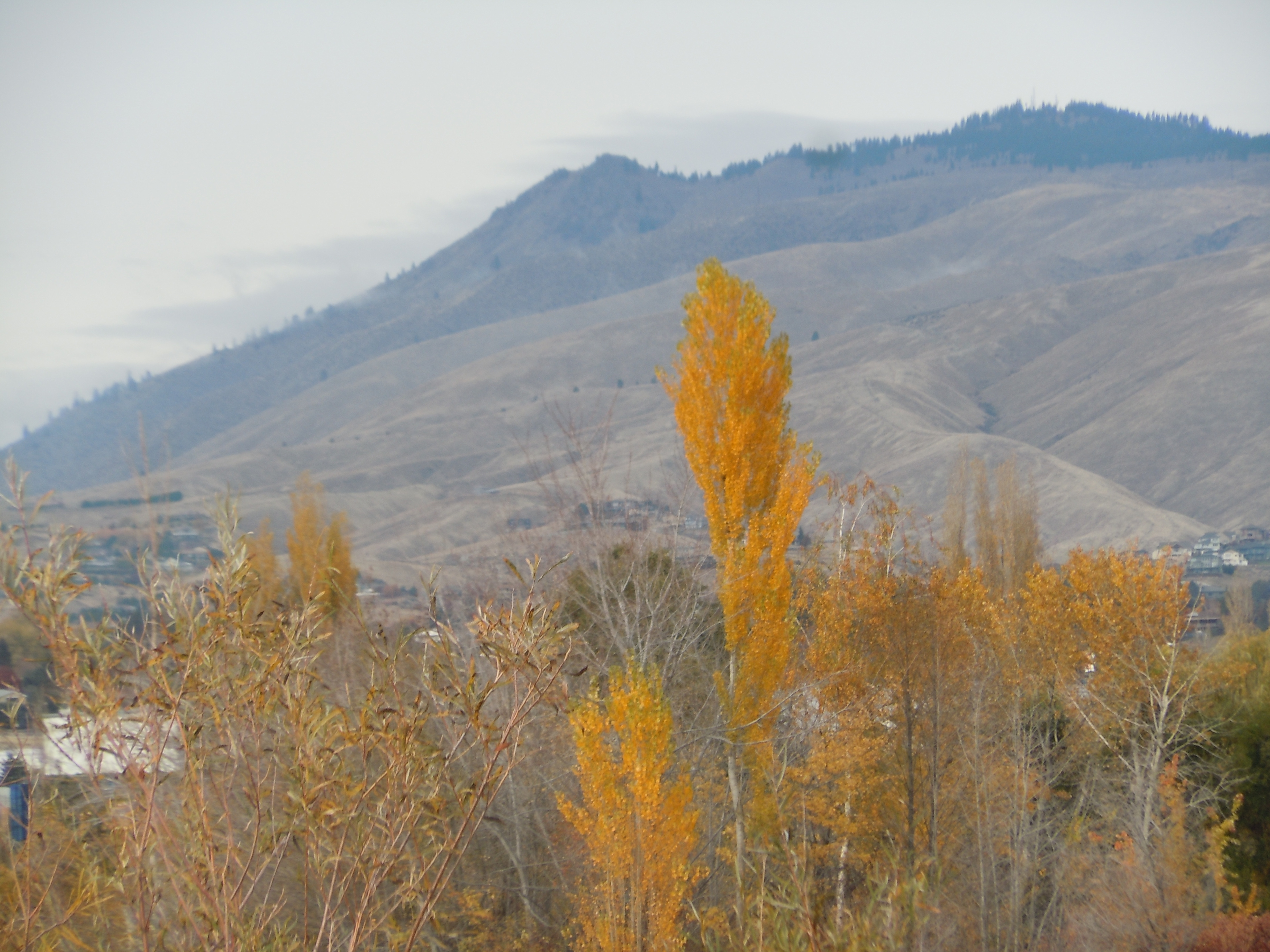 Wenatchee Confluence State Park