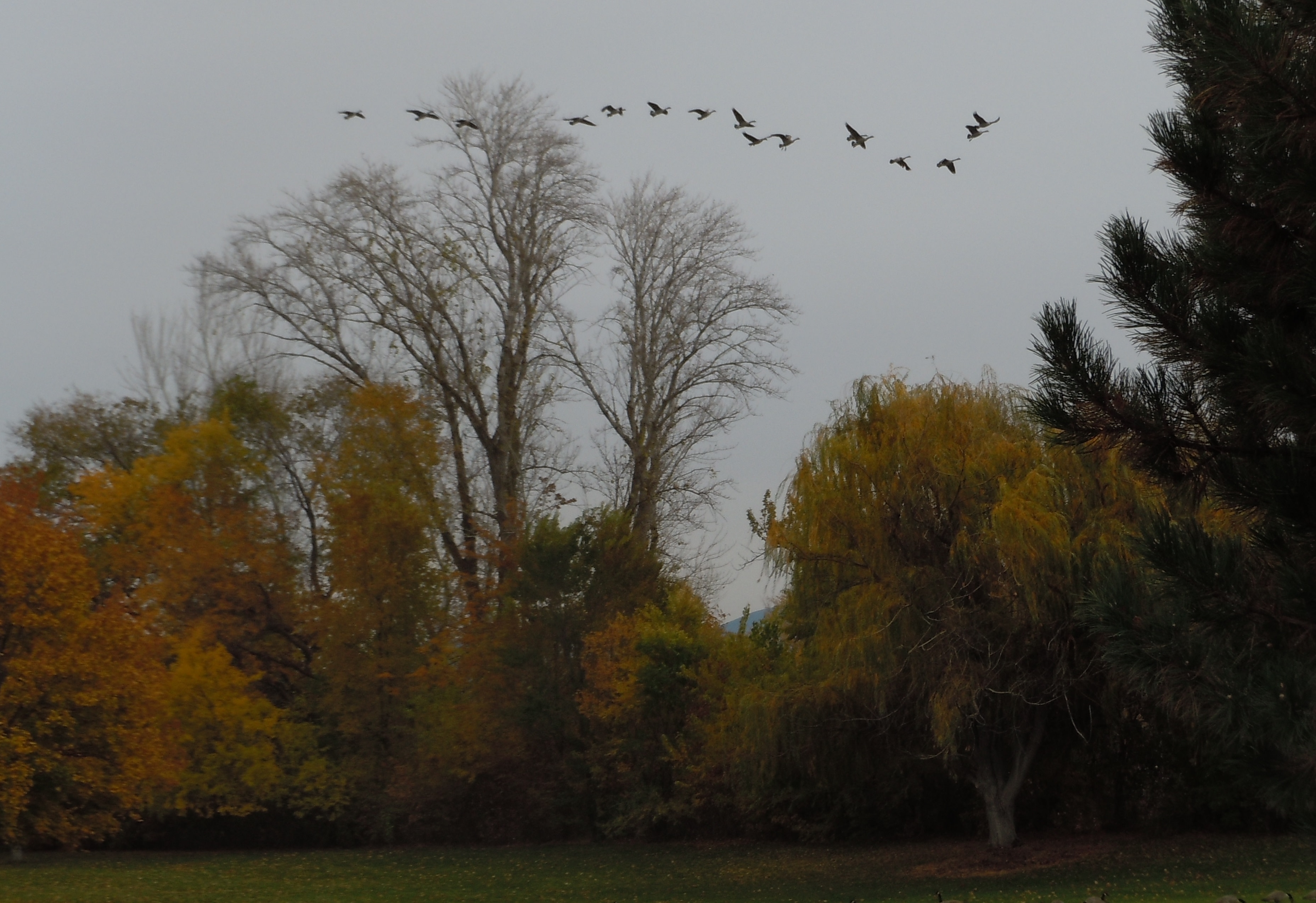 Wenatchee Confluence State Park